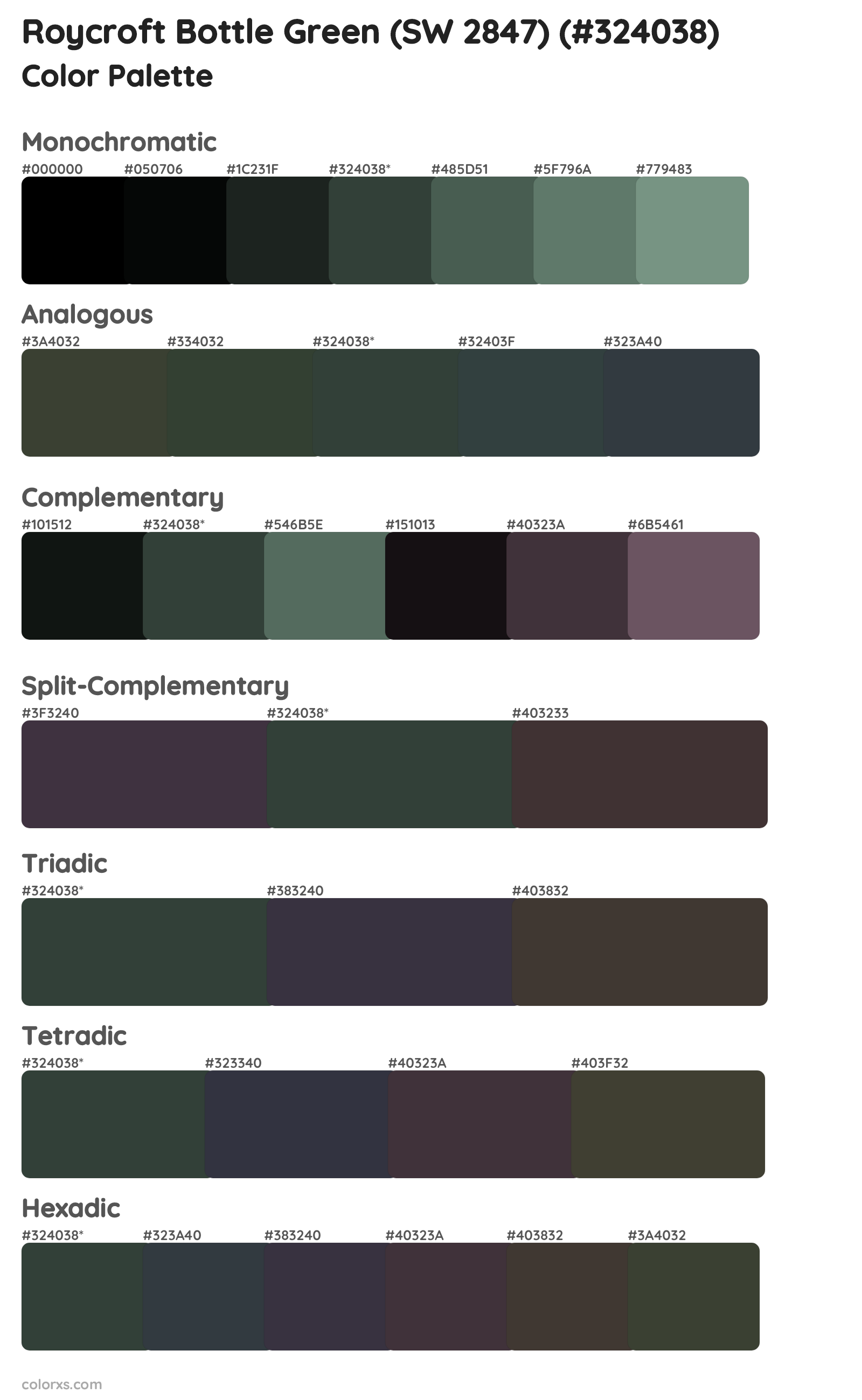 Roycroft Bottle Green (SW 2847) Color Scheme Palettes