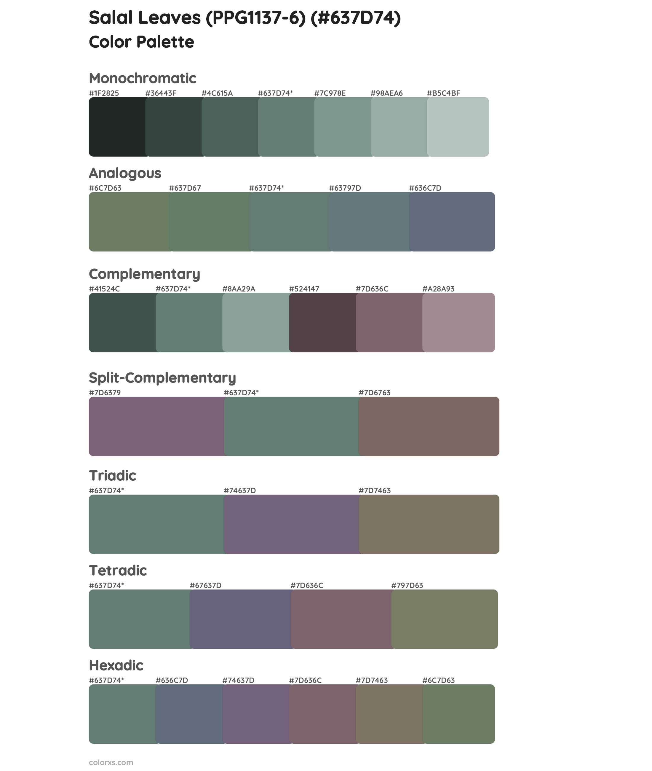 Salal Leaves (PPG1137-6) Color Scheme Palettes