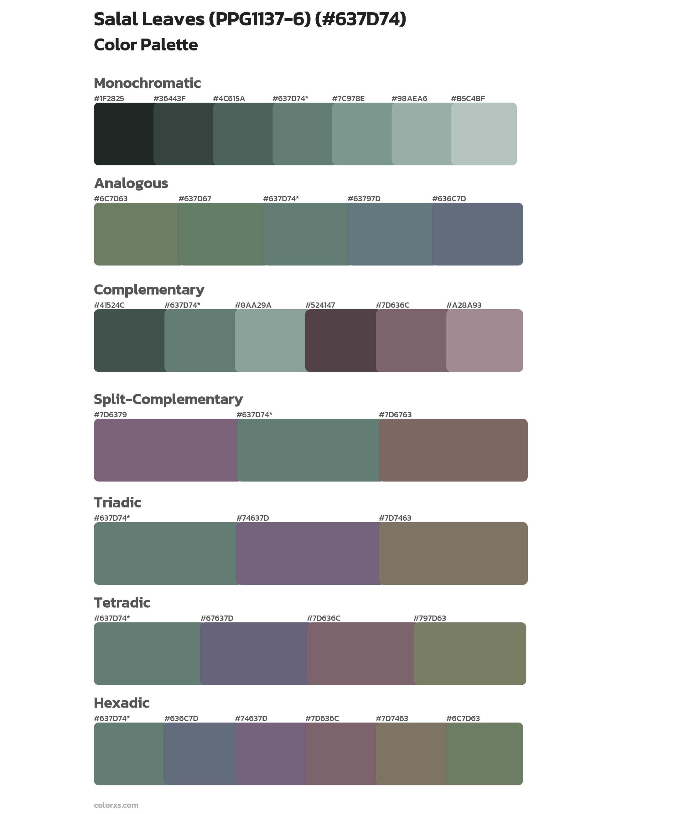 Salal Leaves (PPG1137-6) Color Scheme Palettes
