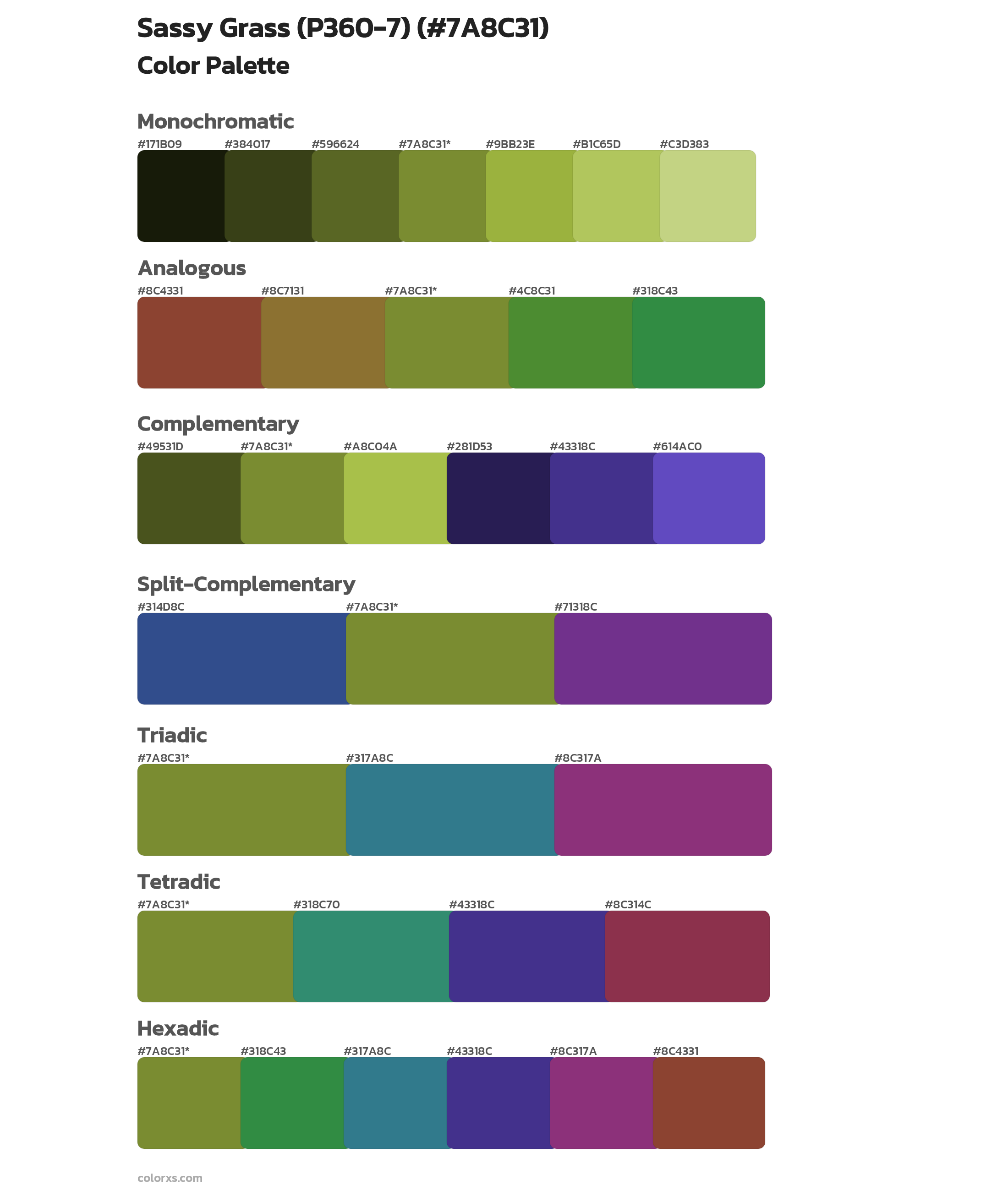 Sassy Grass (P360-7) Color Scheme Palettes