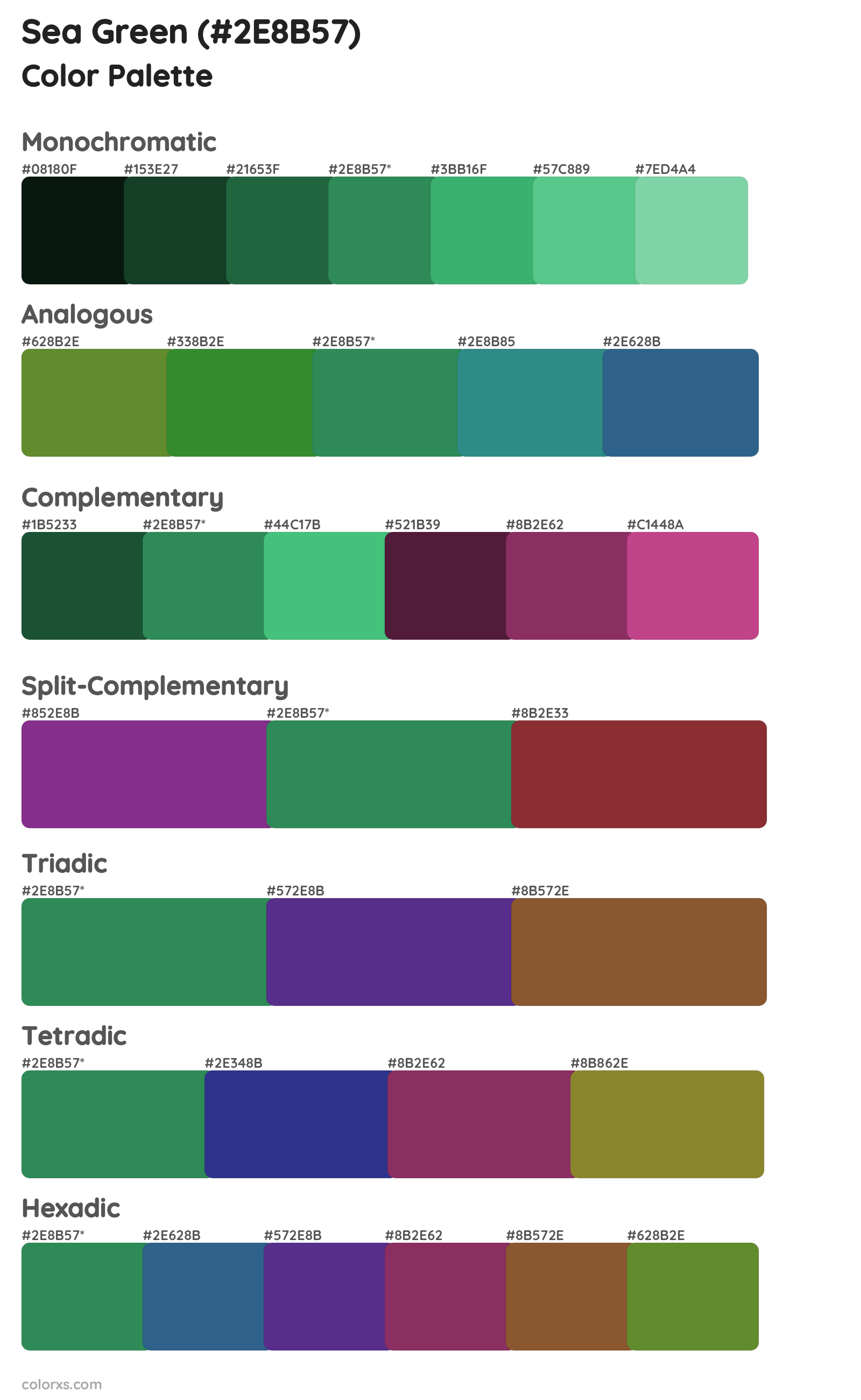 Sea Green Color Scheme Palettes