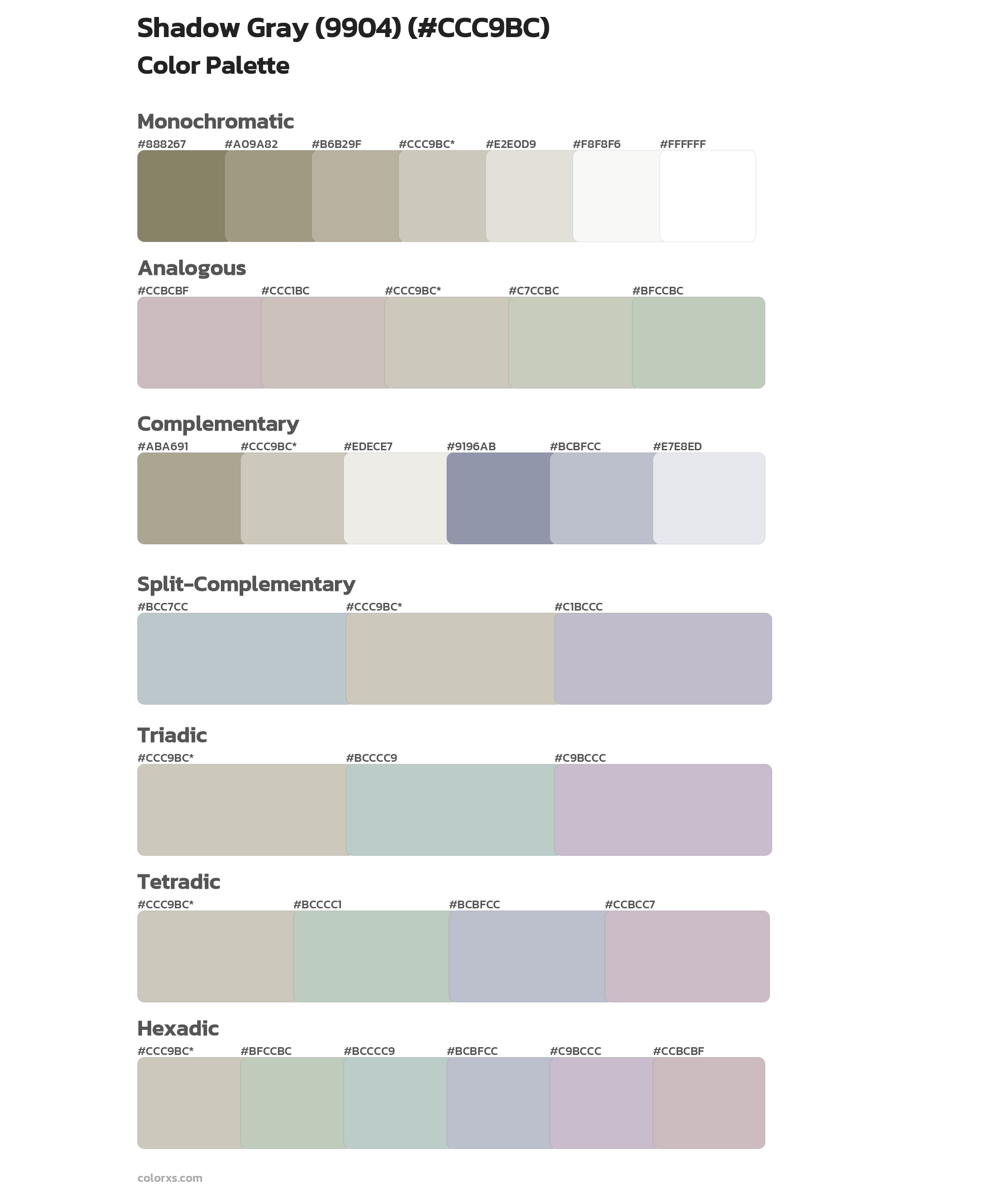 Shadow Gray (9904) Color Scheme Palettes