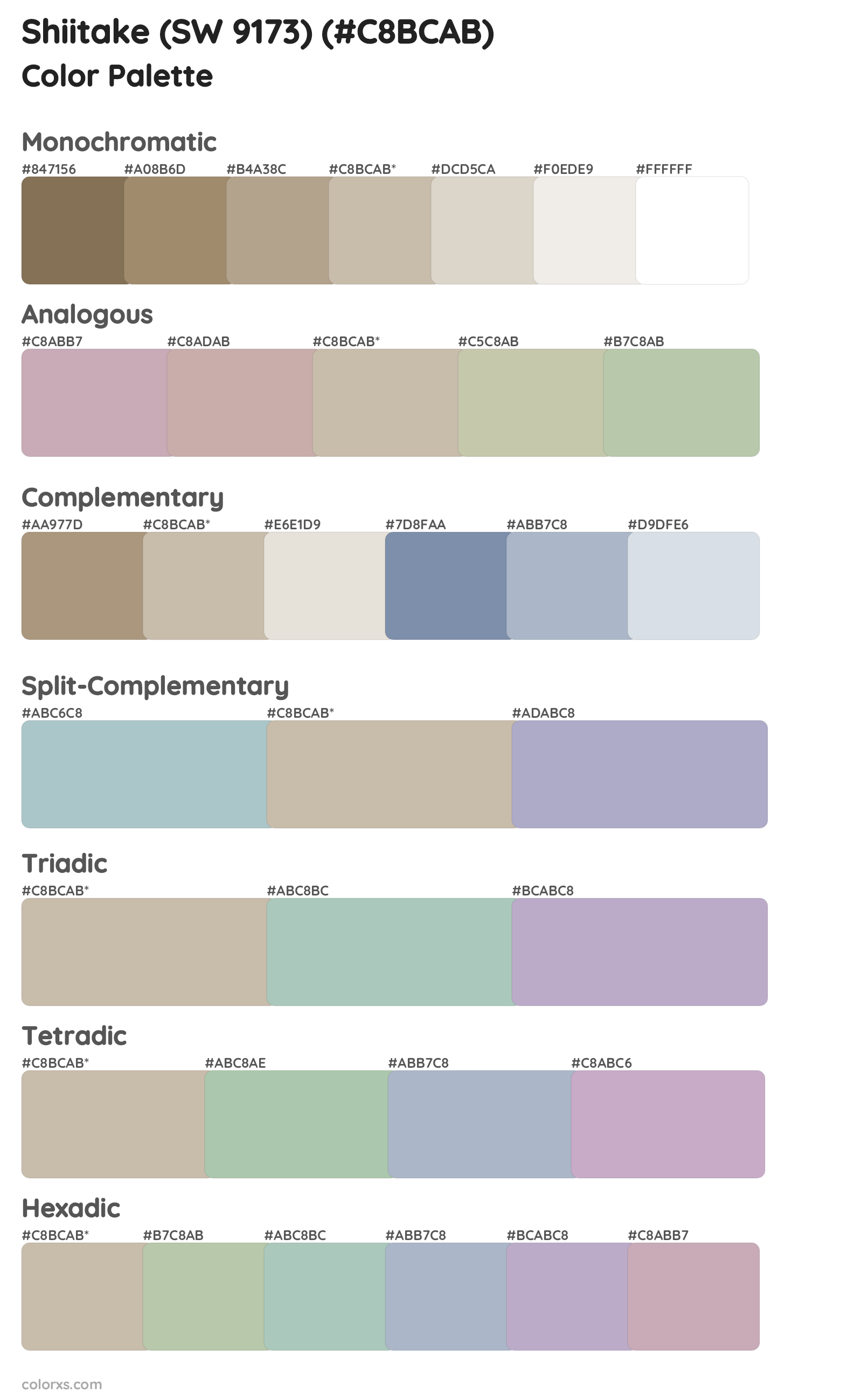 Shiitake (SW 9173) Color Scheme Palettes