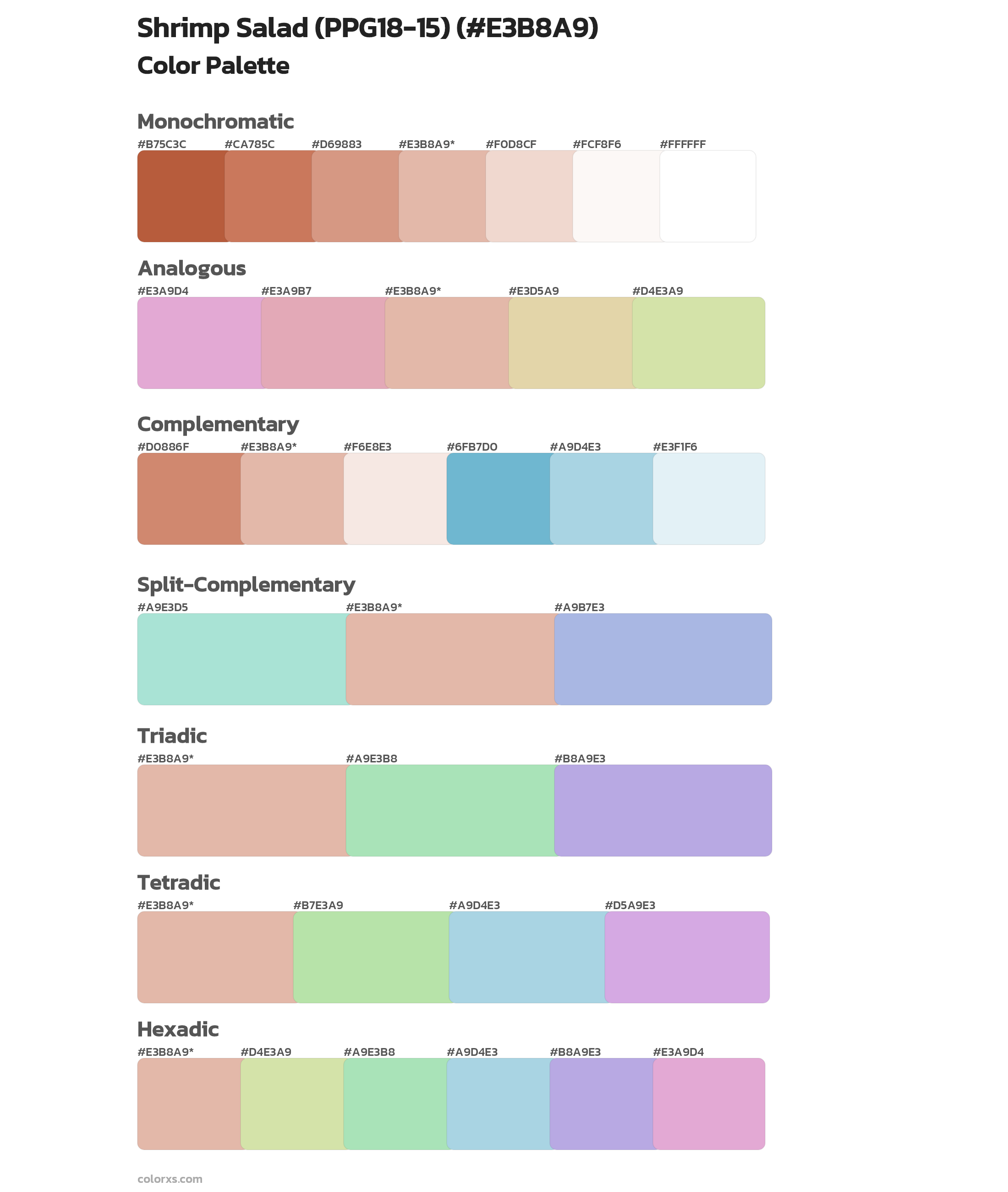 Shrimp Salad (PPG18-15) Color Scheme Palettes