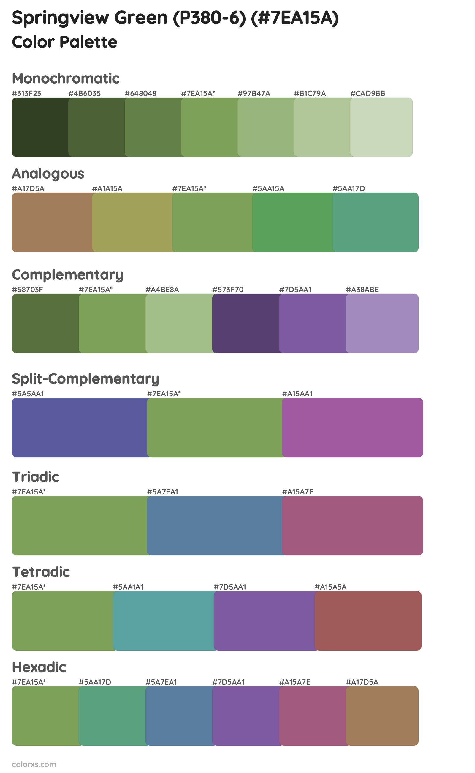 Springview Green (P380-6) Color Scheme Palettes