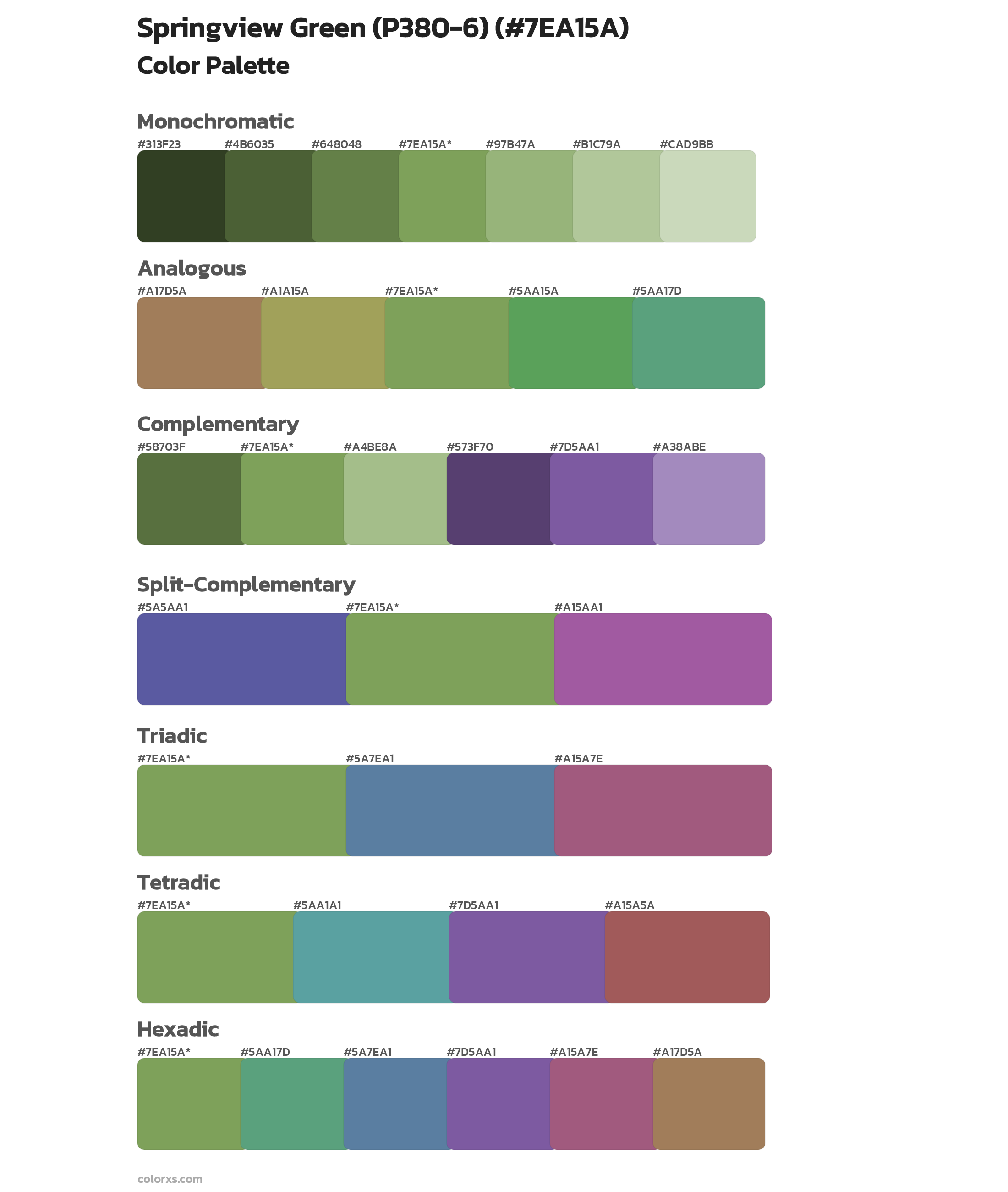 Springview Green (P380-6) Color Scheme Palettes