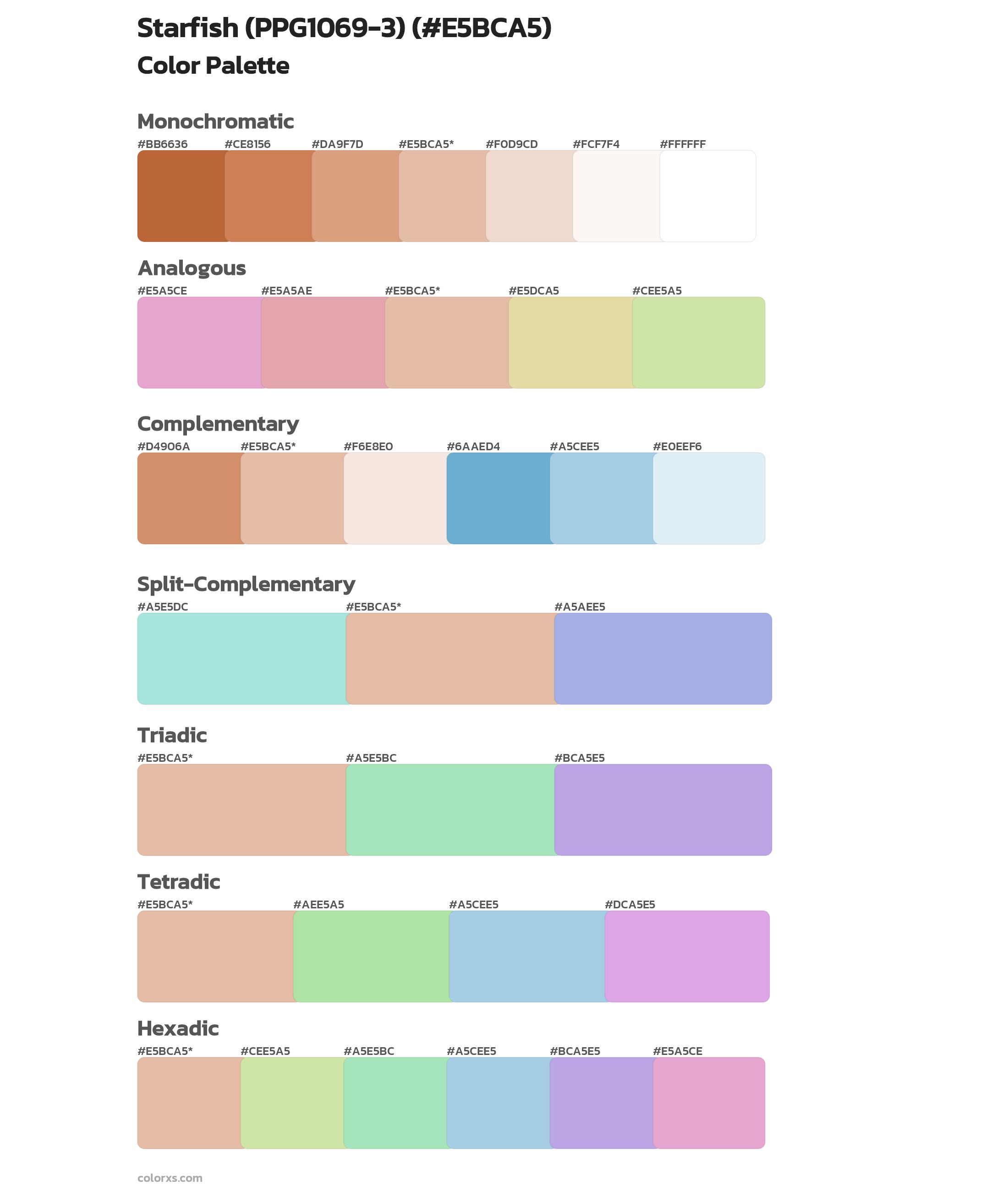 Starfish (PPG1069-3) Color Scheme Palettes