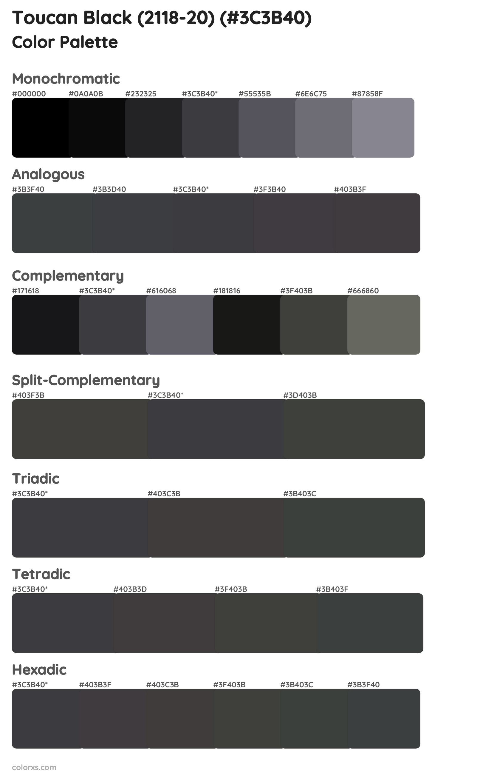 Toucan Black (2118-20) Color Scheme Palettes