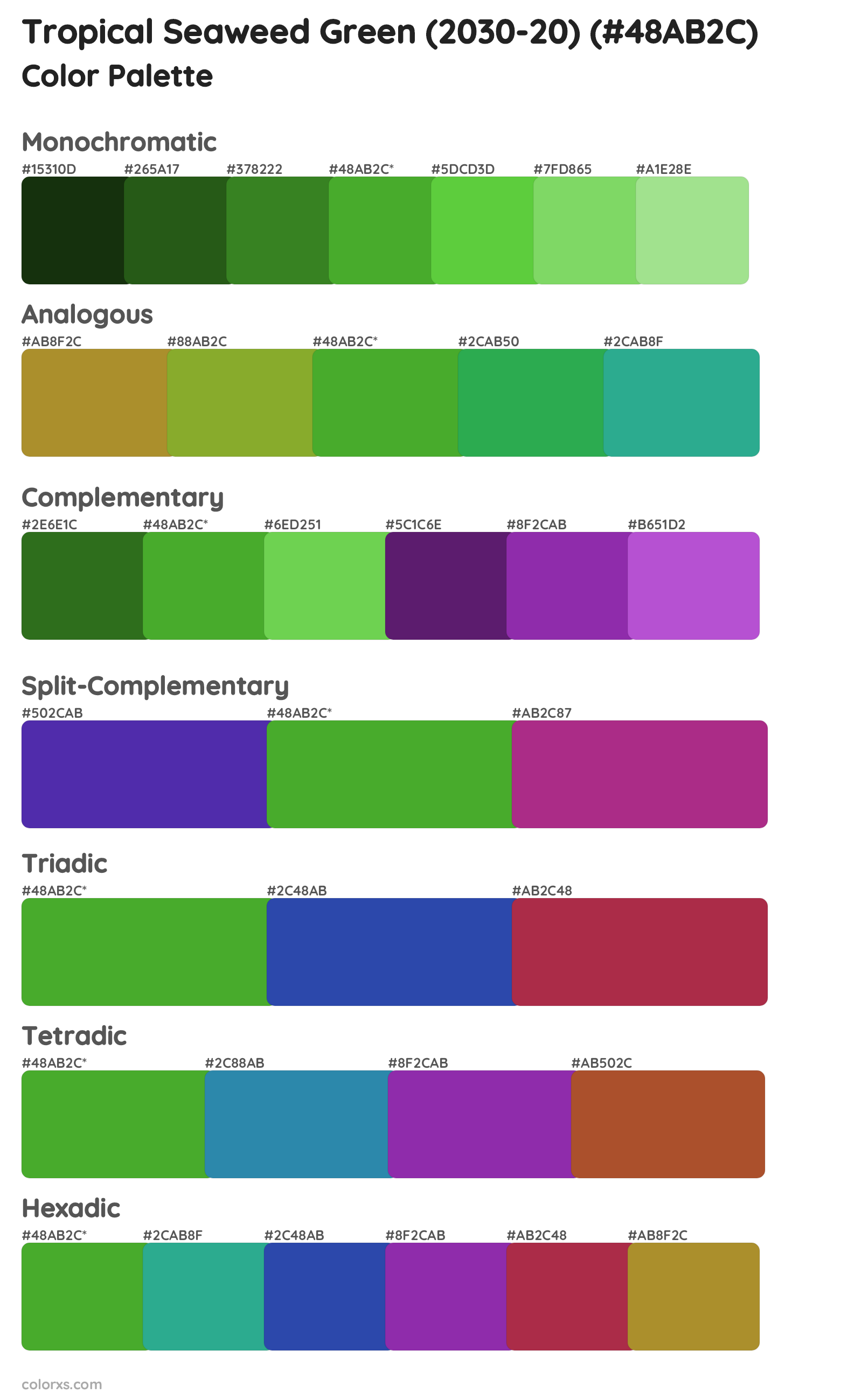 Tropical Seaweed Green (2030-20) Color Scheme Palettes