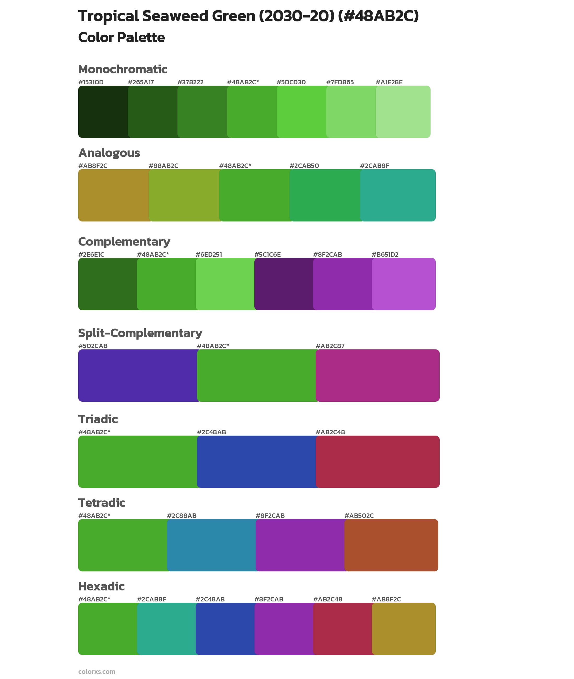 Tropical Seaweed Green (2030-20) Color Scheme Palettes