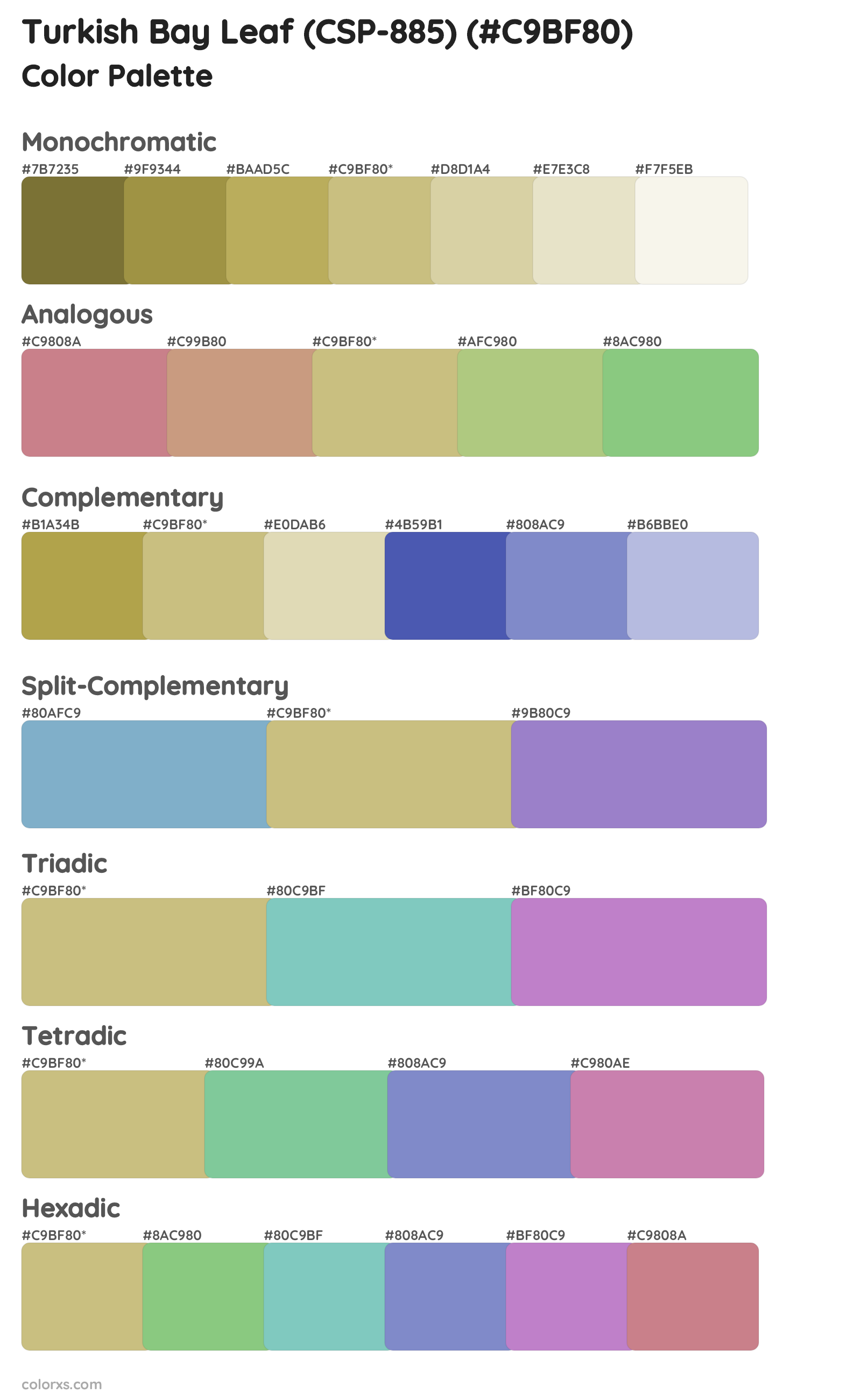 Turkish Bay Leaf (CSP-885) Color Scheme Palettes