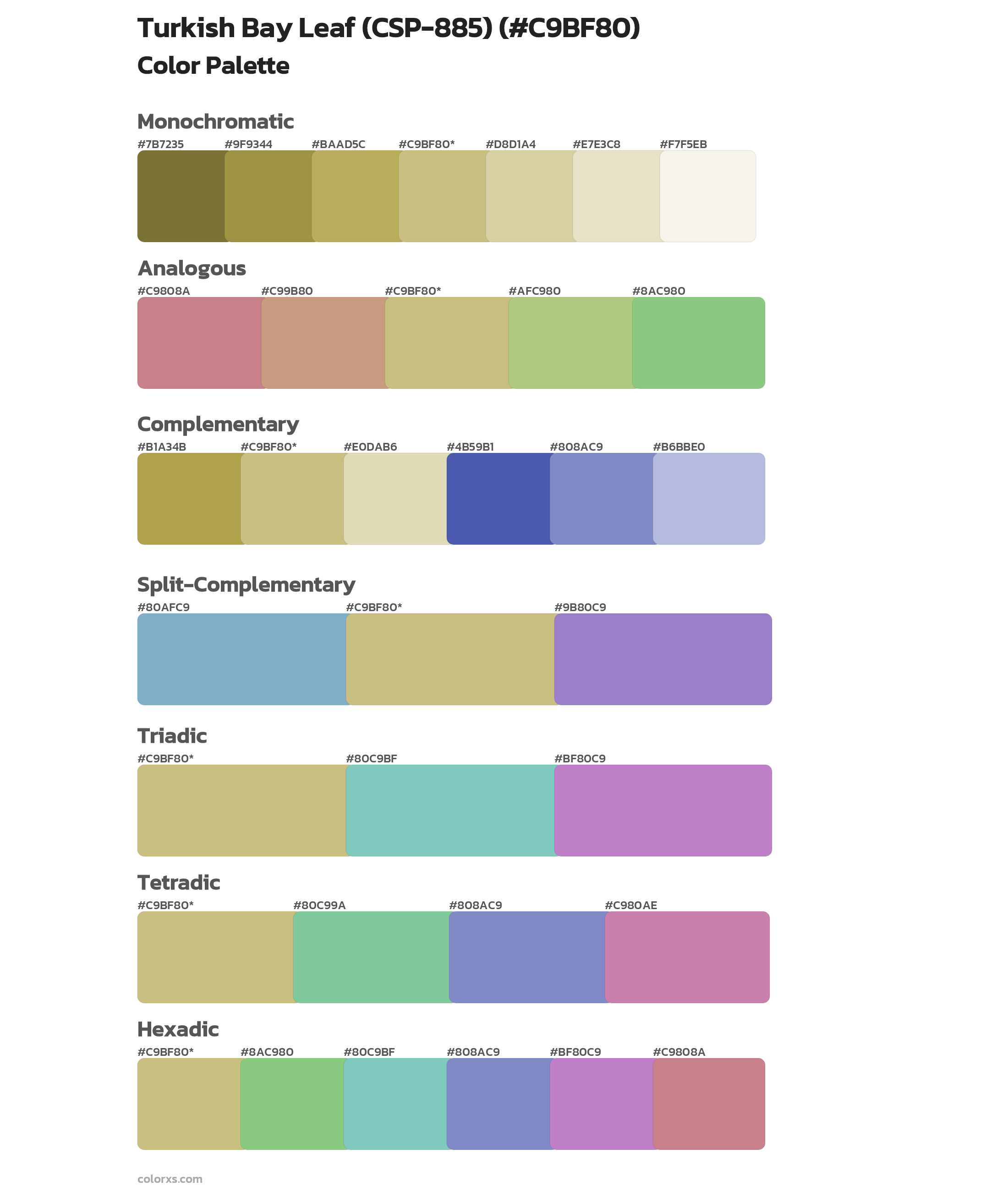 Turkish Bay Leaf (CSP-885) Color Scheme Palettes