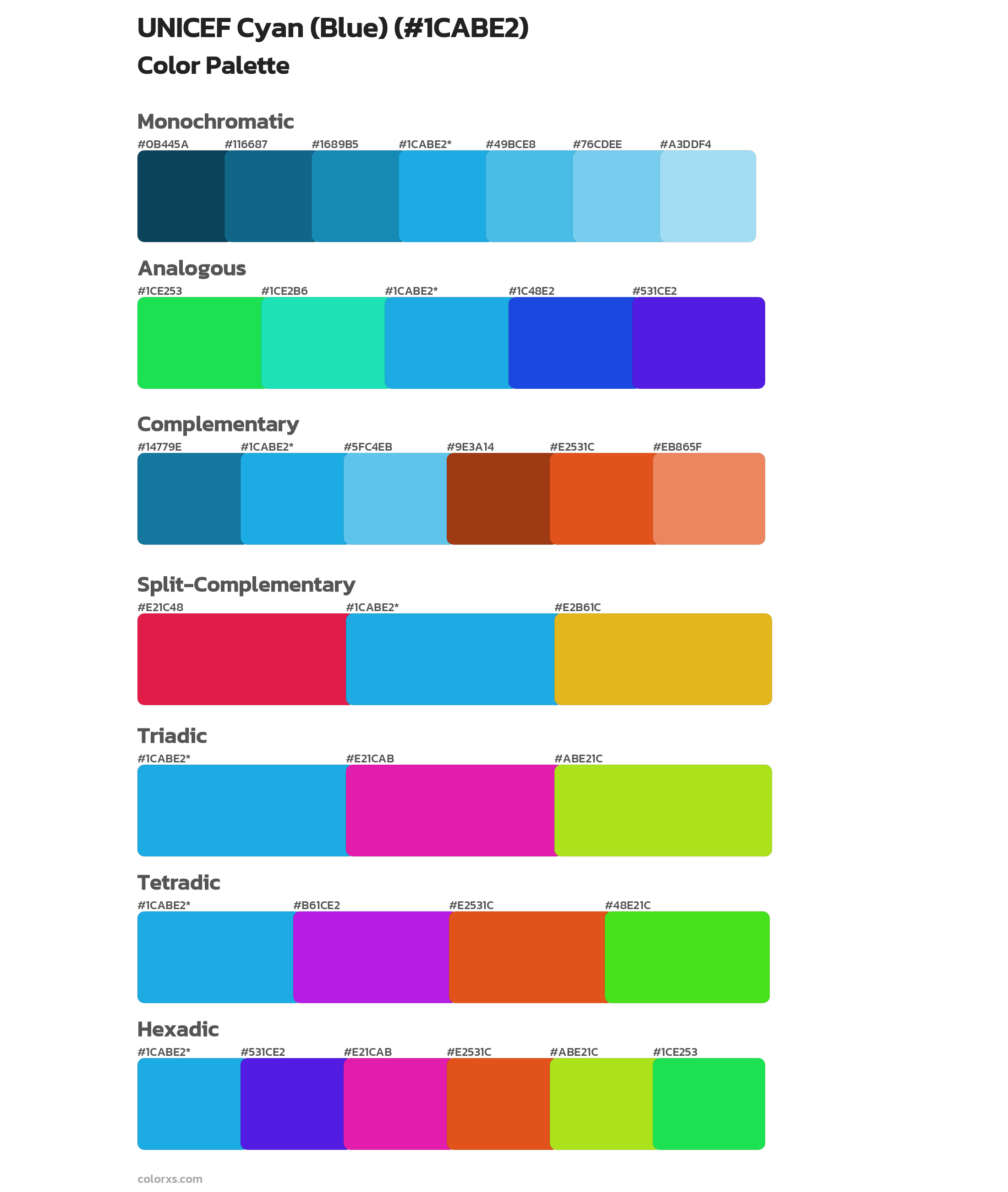 UNICEF Cyan (Blue) Color Scheme Palettes