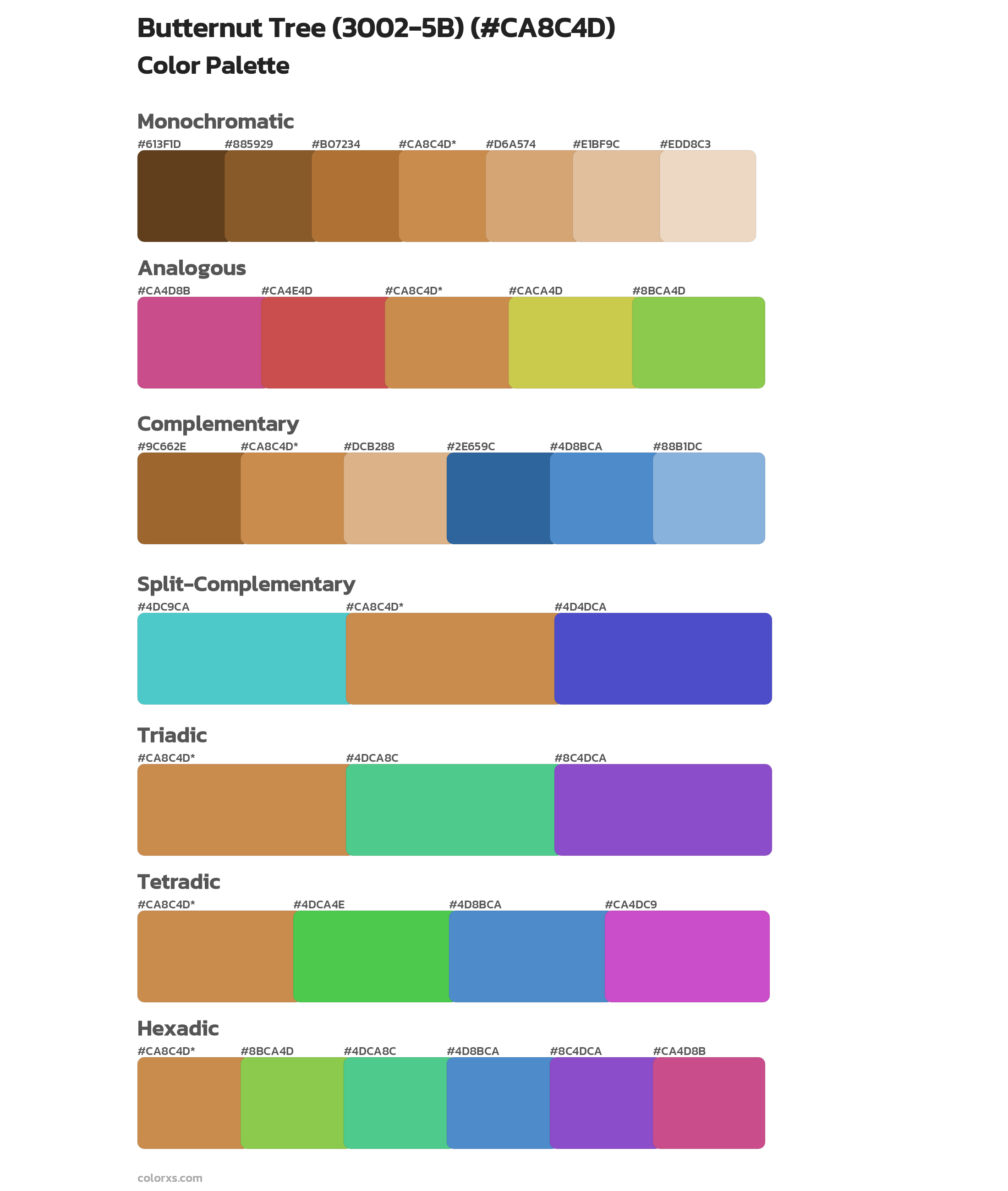 Butternut Tree (3002-5B) Color Scheme Palettes
