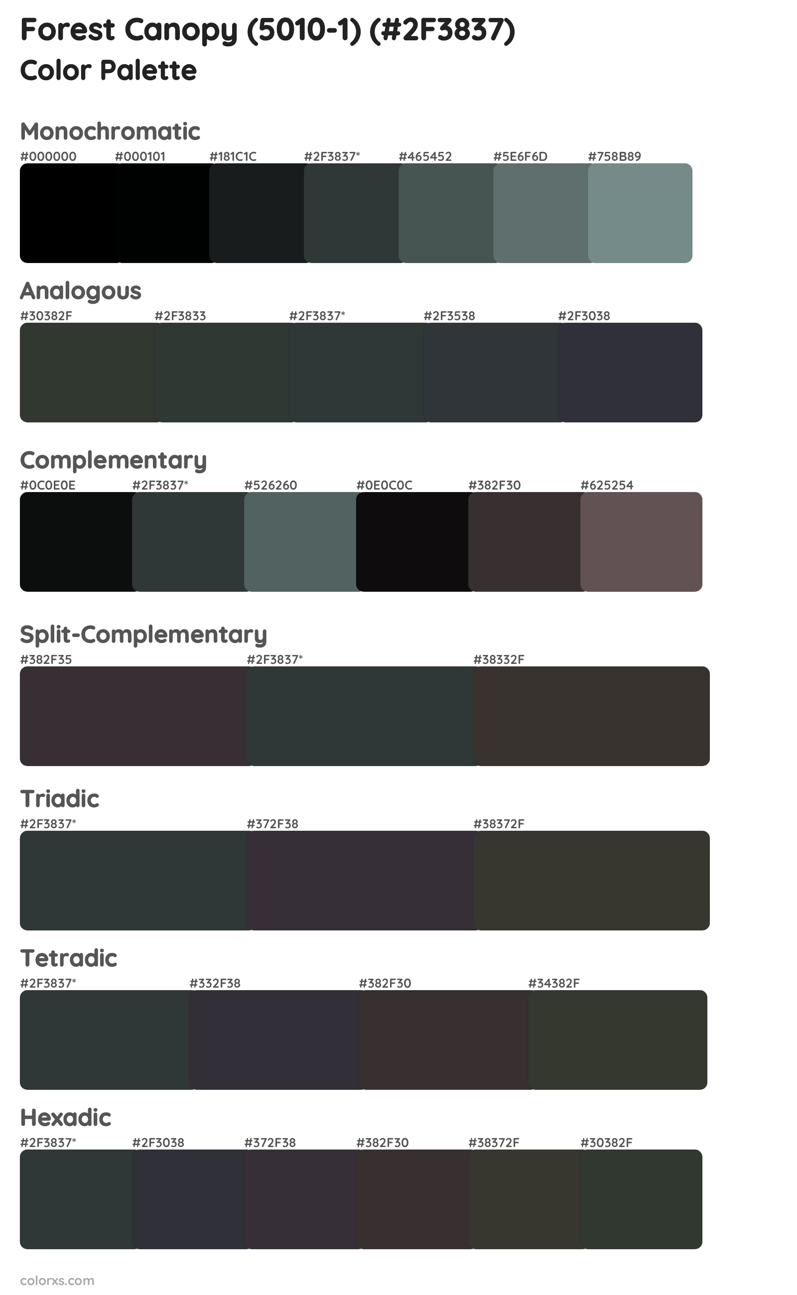 Forest Canopy (5010-1) Color Scheme Palettes
