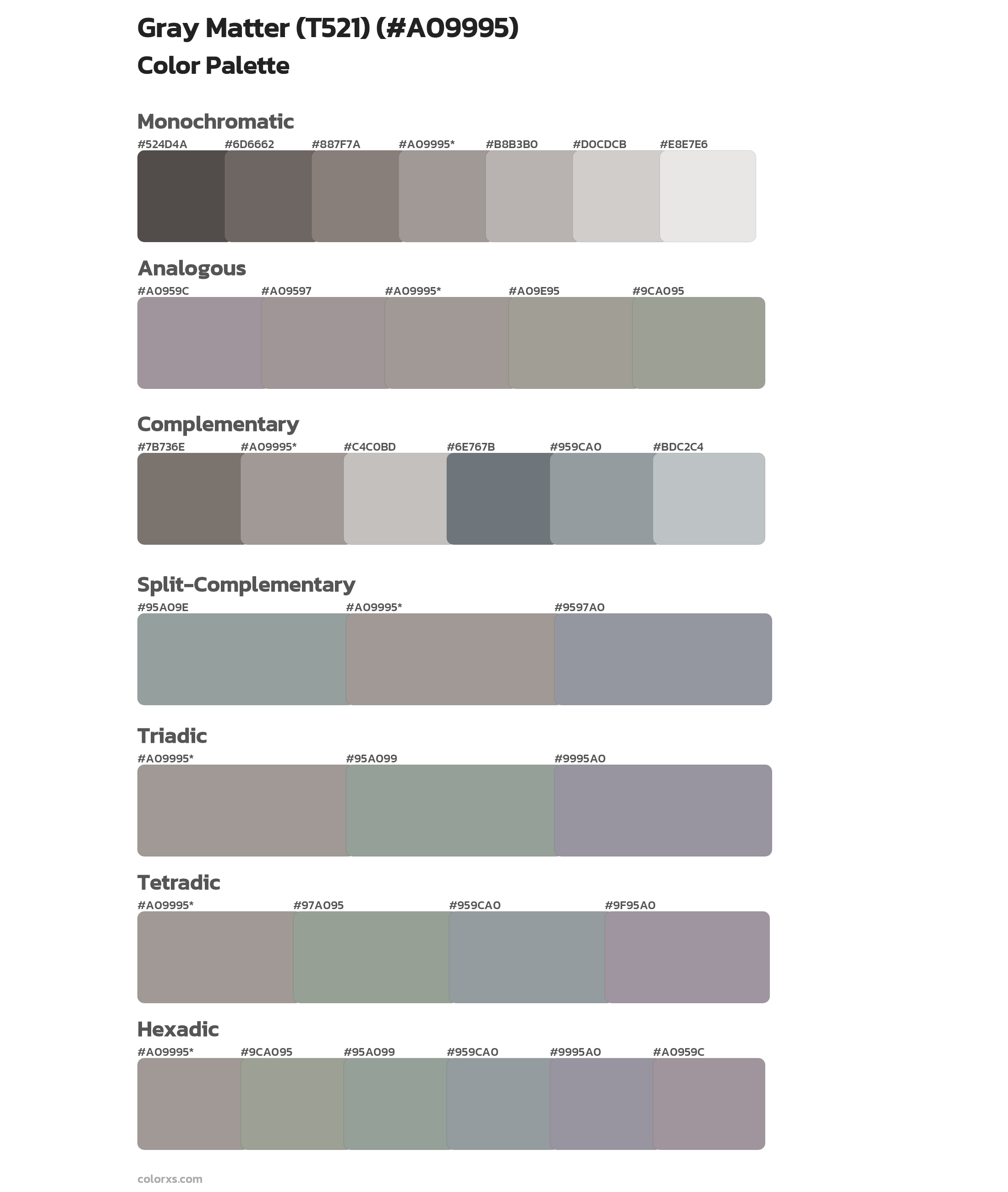 Gray Matter (T521) Color Scheme Palettes