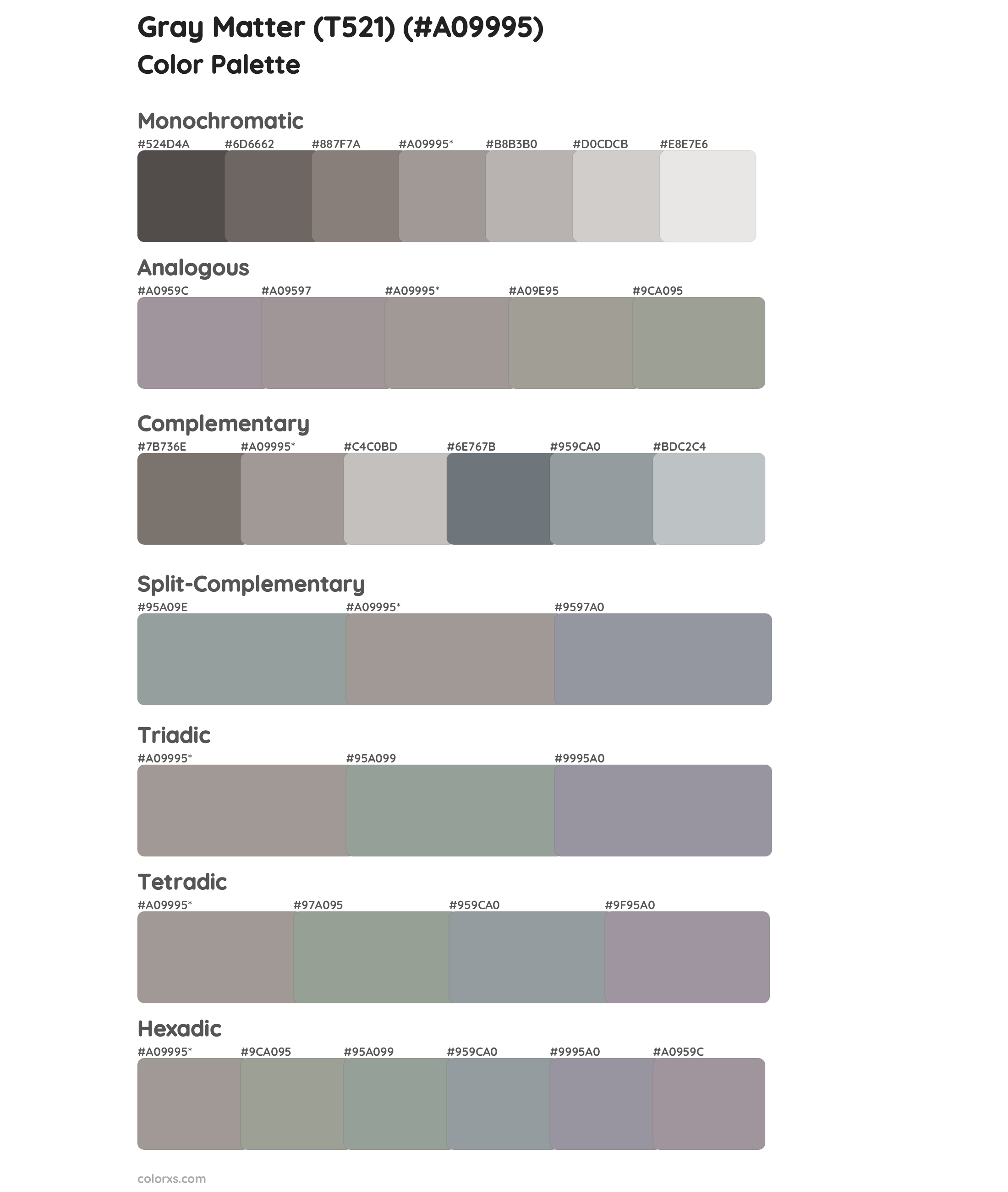 Gray Matter (T521) Color Scheme Palettes