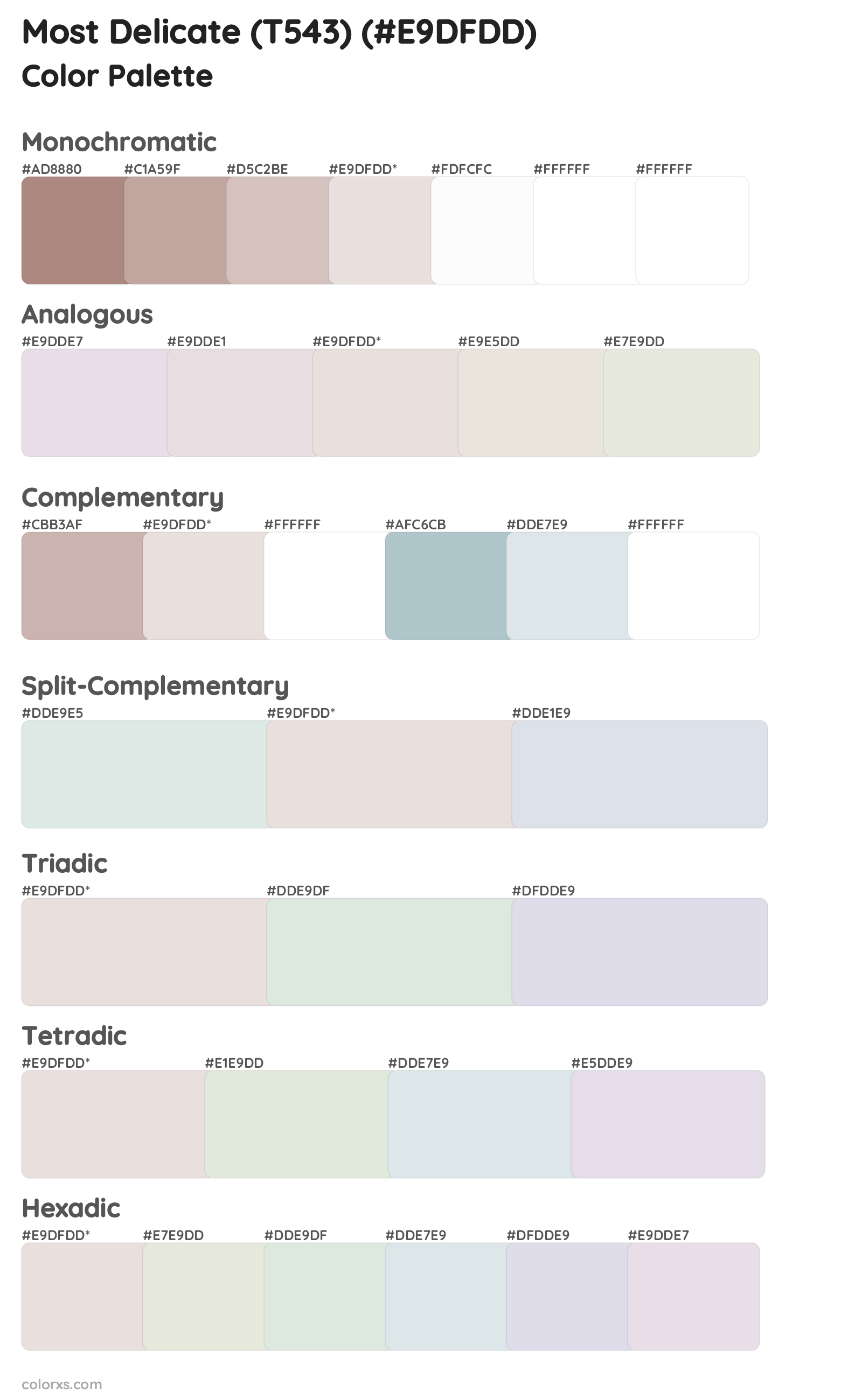 Most Delicate (T543) Color Scheme Palettes