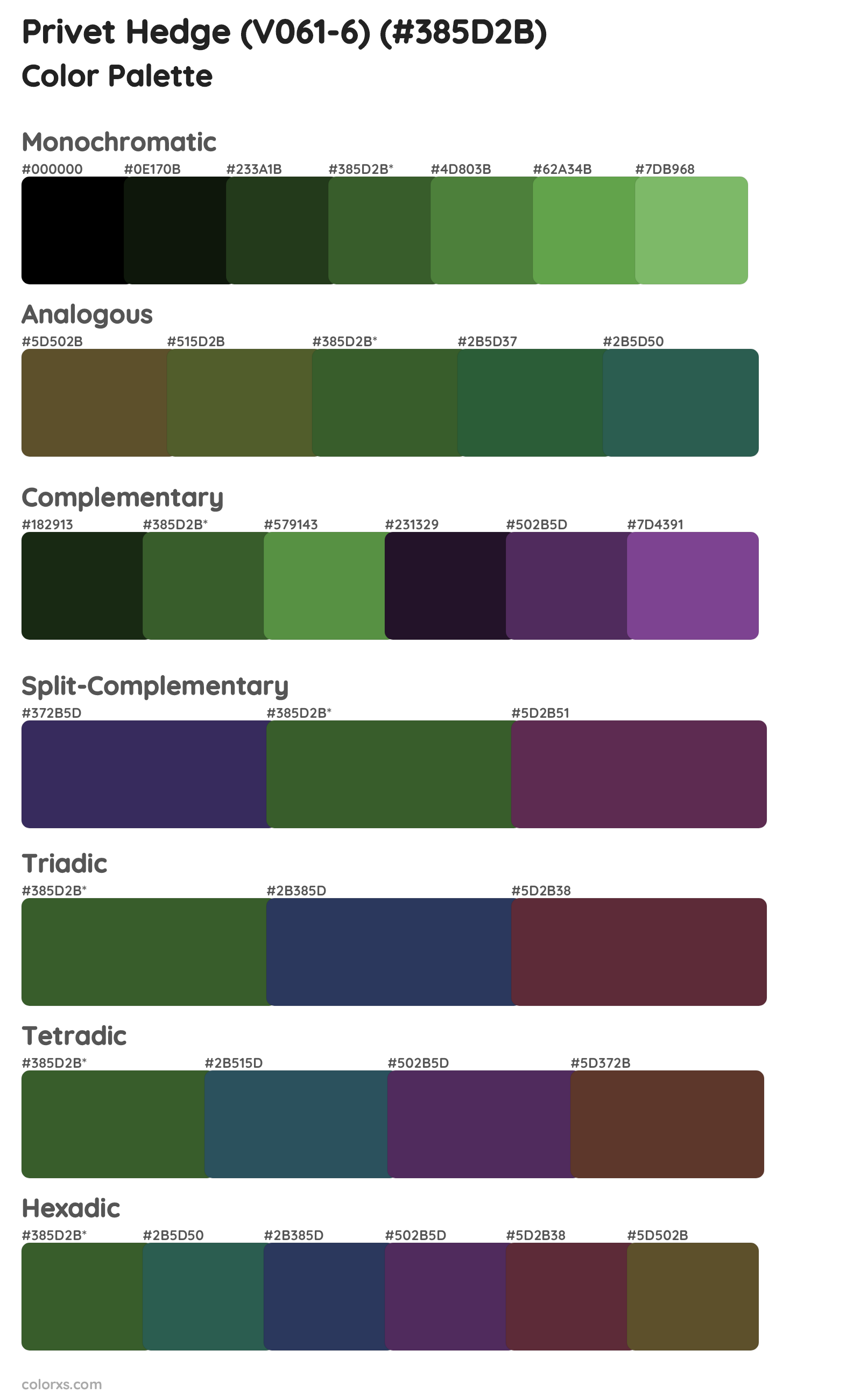 Privet Hedge (V061-6) Color Scheme Palettes