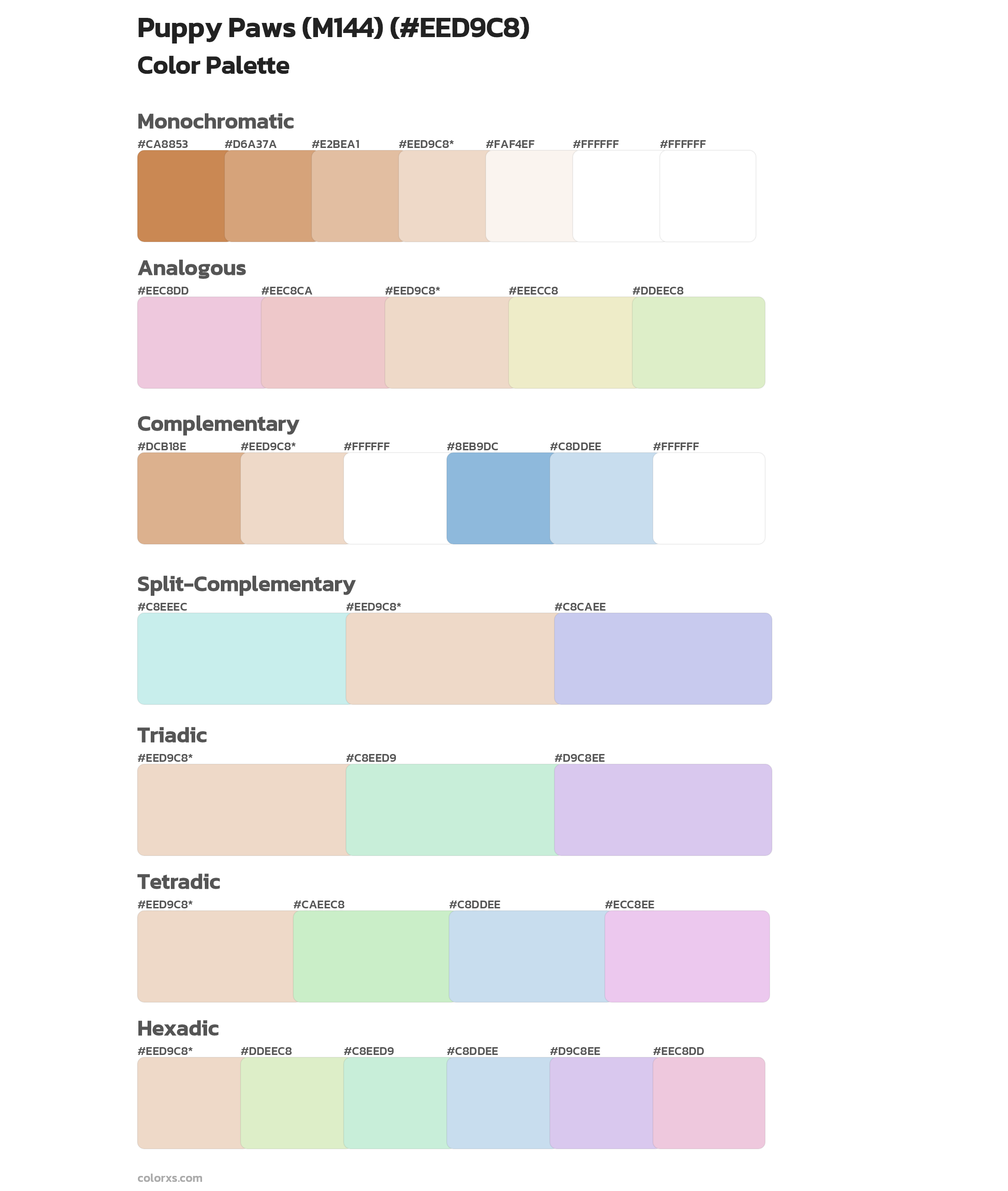 Puppy Paws (M144) Color Scheme Palettes