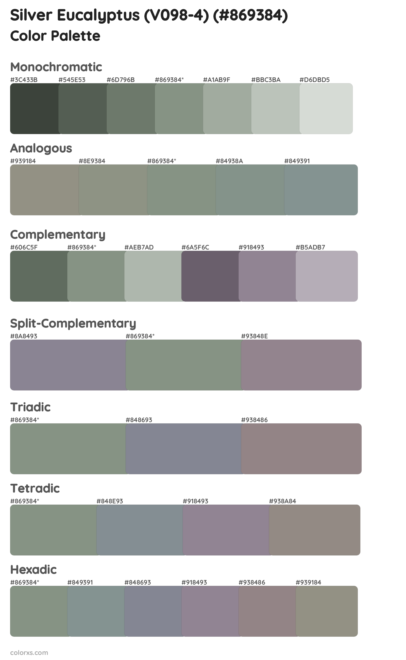 Silver Eucalyptus (V098-4) Color Scheme Palettes