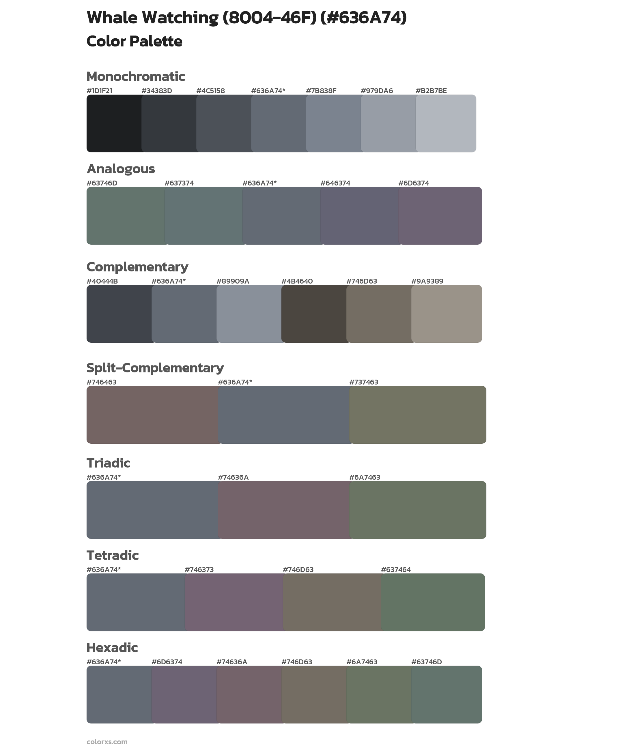 Whale Watching (8004-46F) Color Scheme Palettes