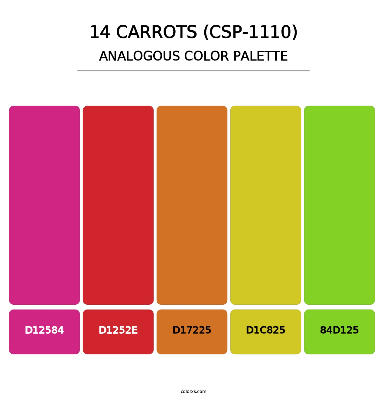 14 Carrots (CSP-1110) - Analogous Color Palette