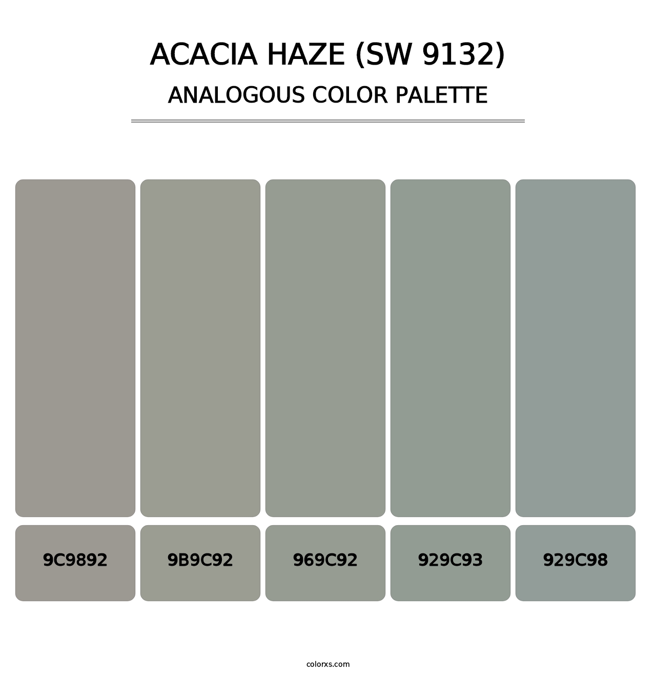 Acacia Haze (SW 9132) - Analogous Color Palette