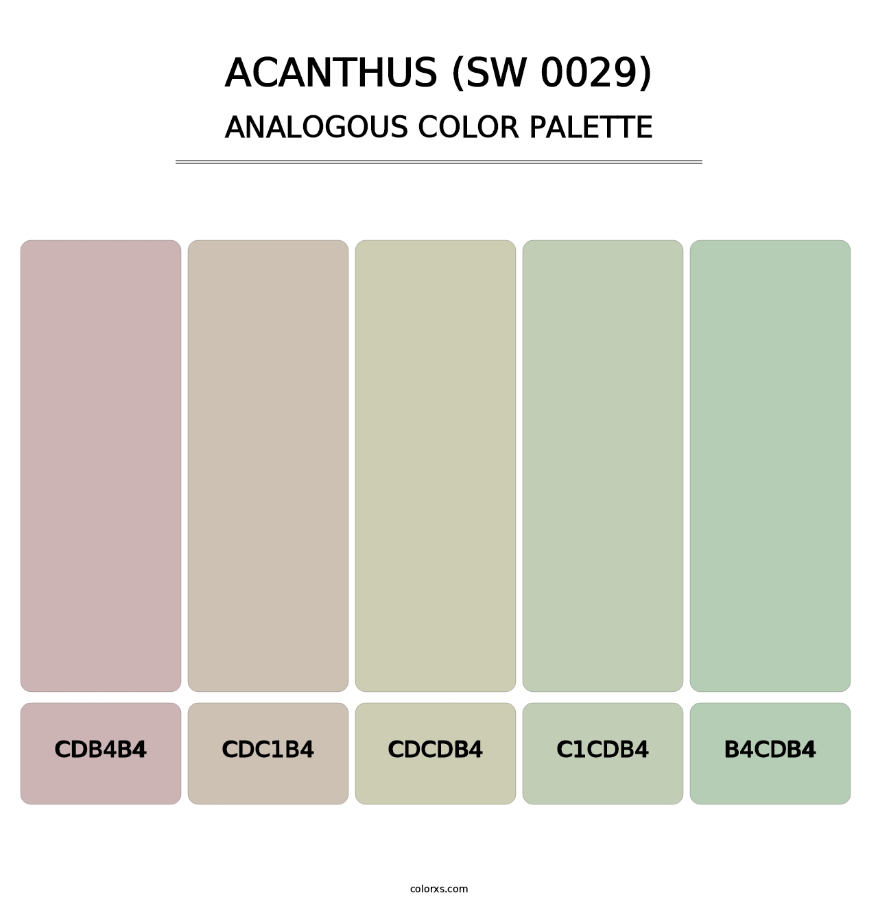 Acanthus (SW 0029) - Analogous Color Palette