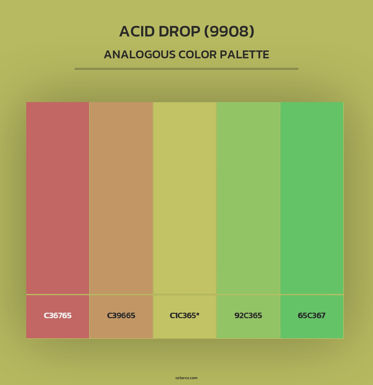 Acid Drop (9908) - Analogous Color Palette