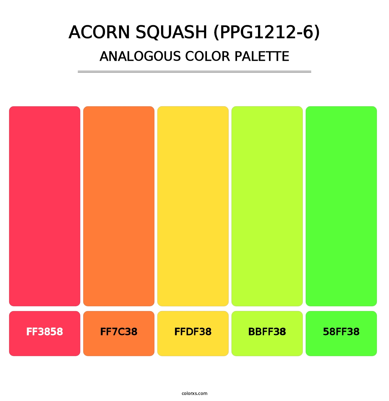 Acorn Squash (PPG1212-6) - Analogous Color Palette