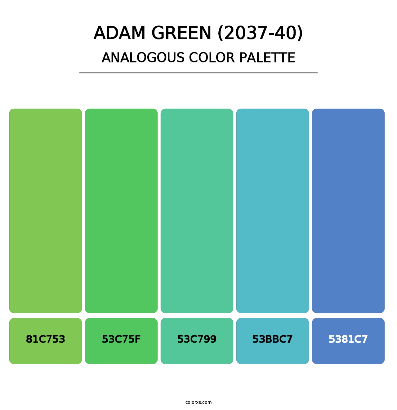 Adam Green (2037-40) - Analogous Color Palette
