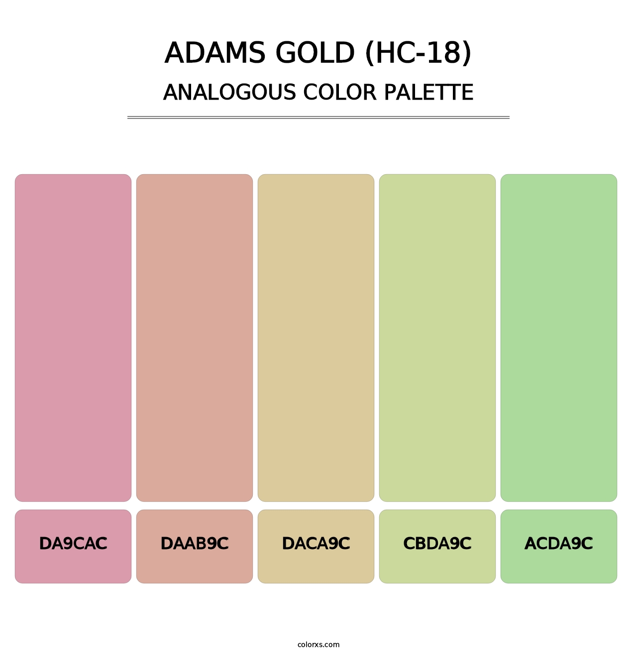 Adams Gold (HC-18) - Analogous Color Palette