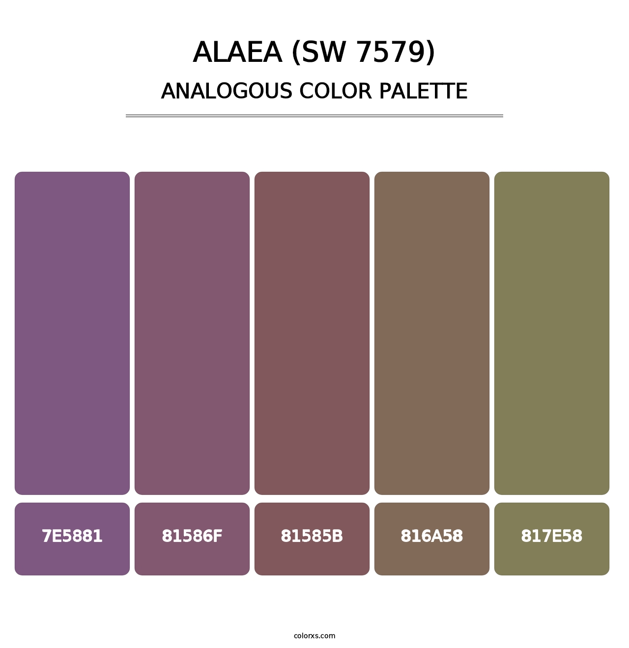 Alaea (SW 7579) - Analogous Color Palette