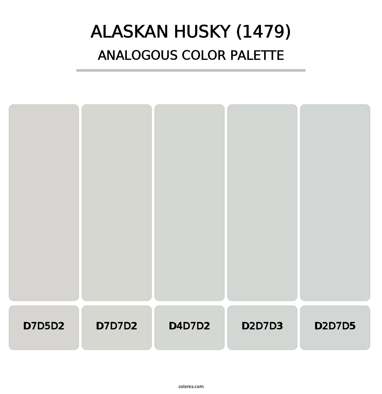 Alaskan Husky (1479) - Analogous Color Palette