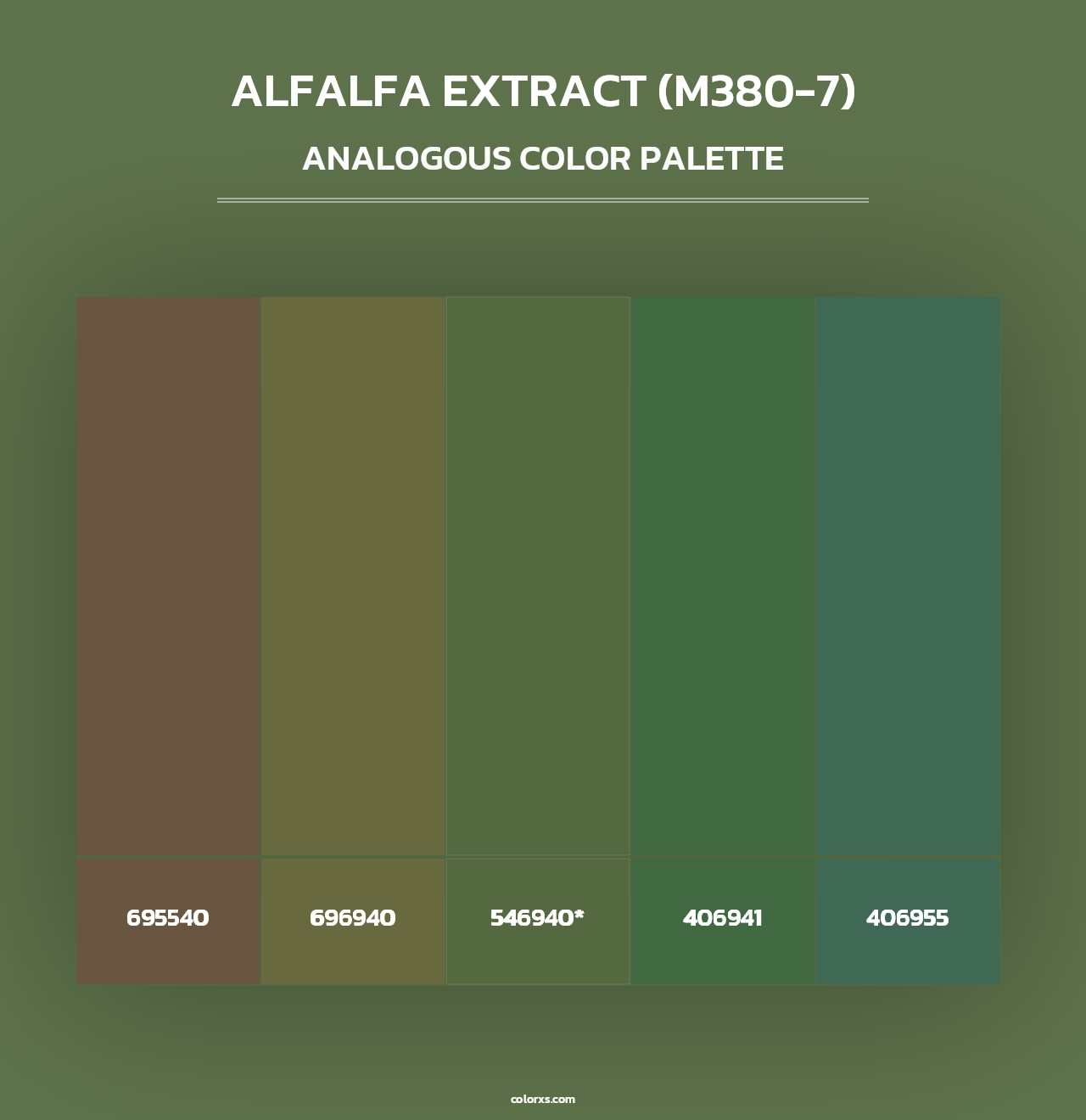 Alfalfa Extract (M380-7) - Analogous Color Palette