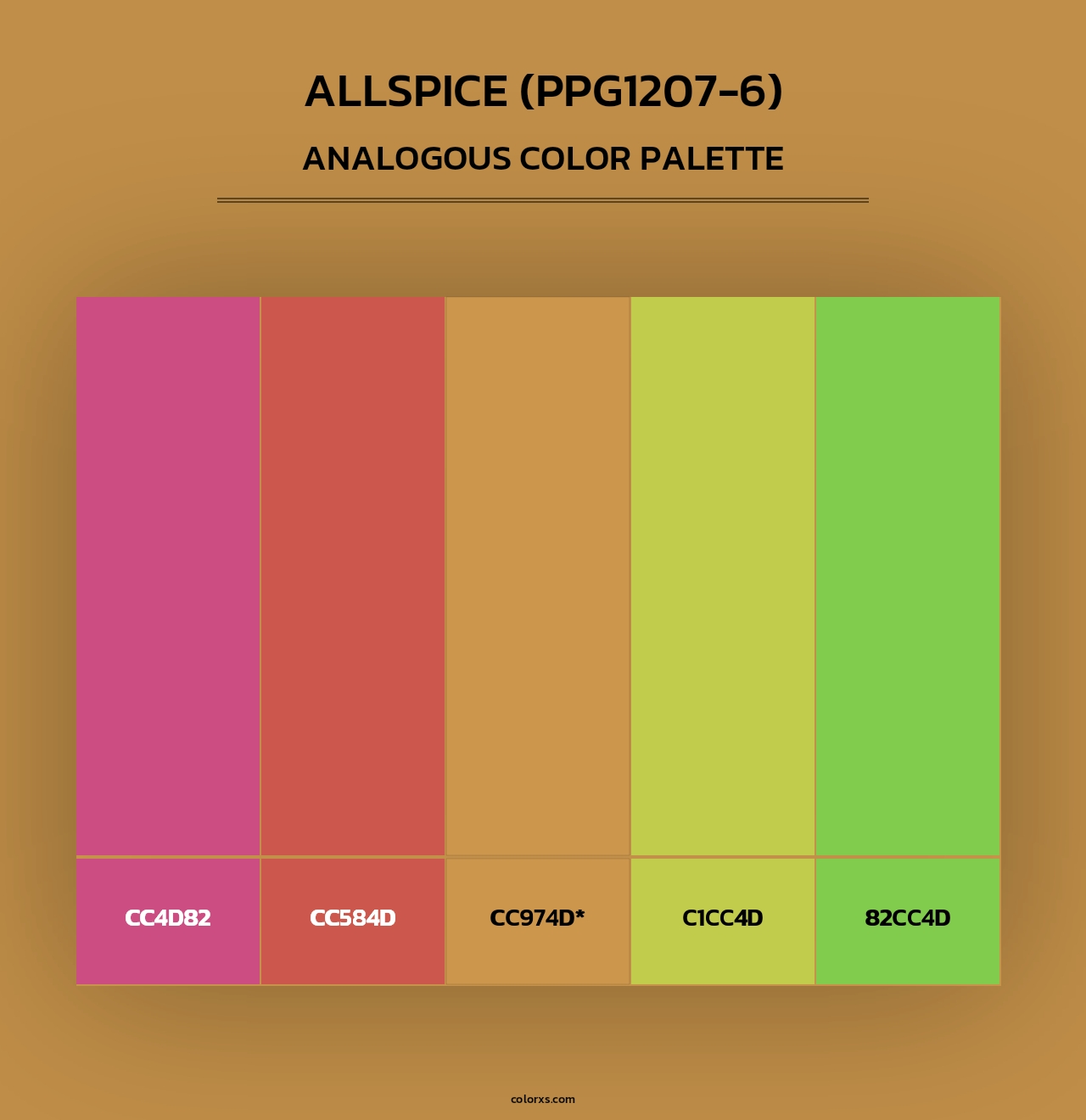 Allspice (PPG1207-6) - Analogous Color Palette
