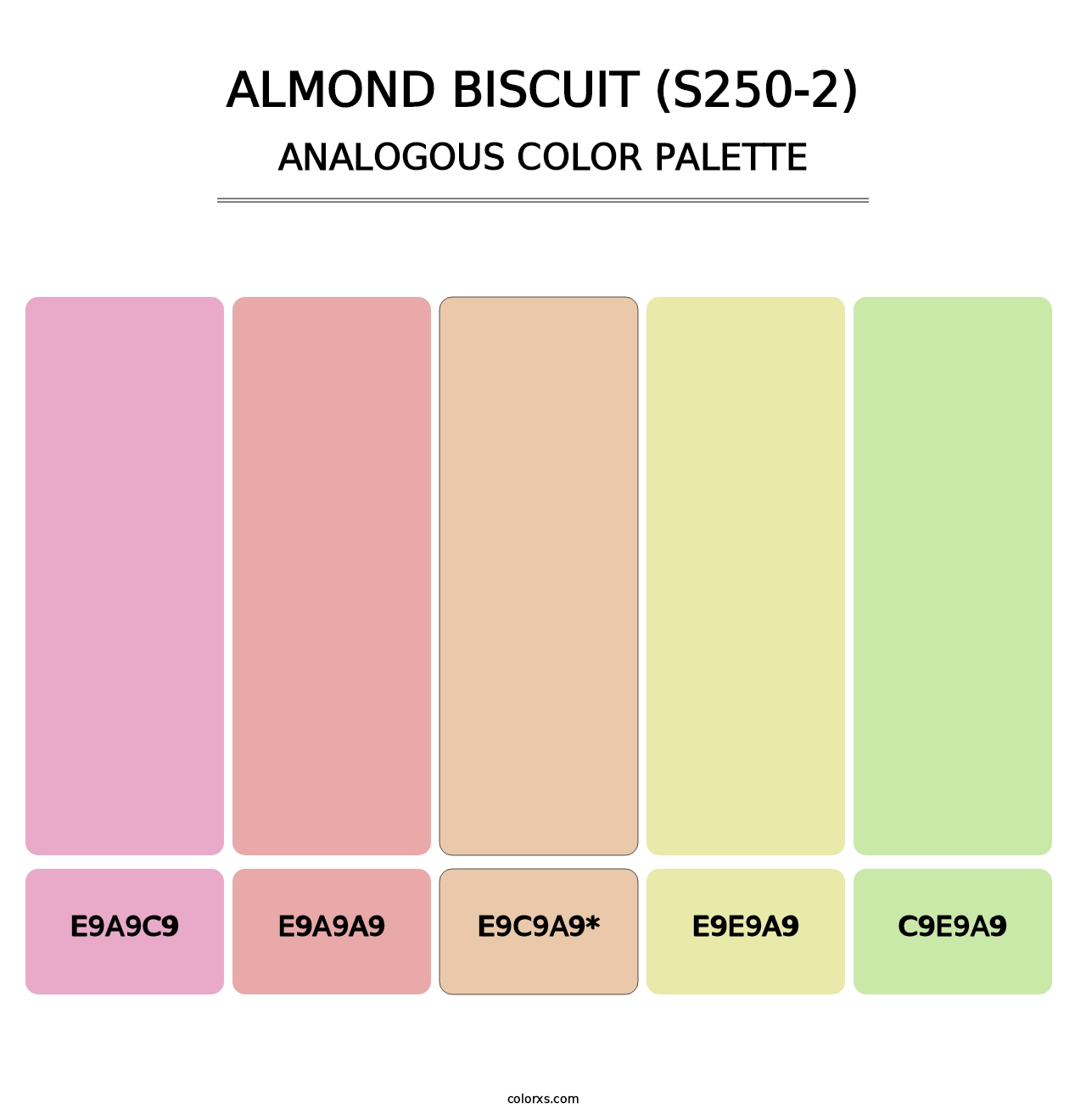 Almond Biscuit (S250-2) - Analogous Color Palette