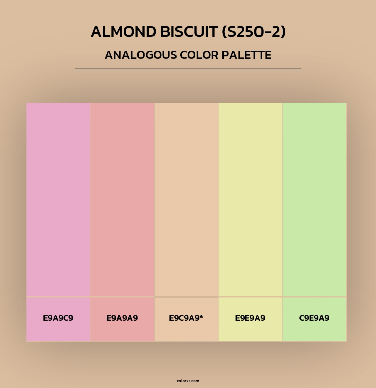 Almond Biscuit (S250-2) - Analogous Color Palette