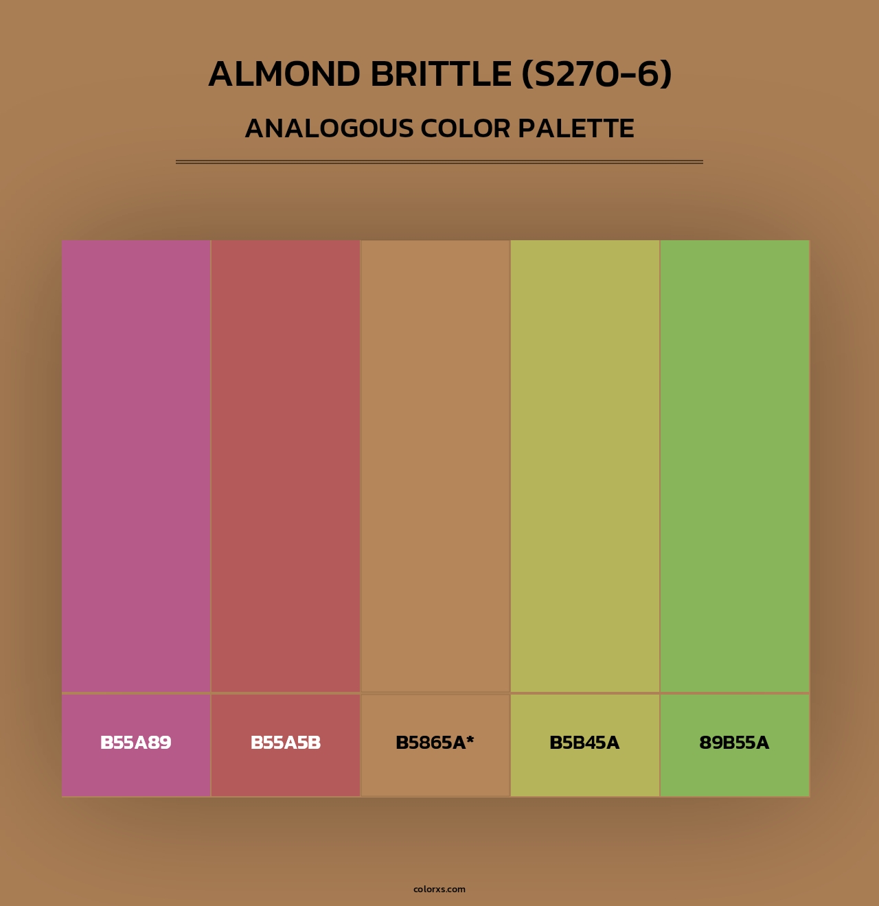Almond Brittle (S270-6) - Analogous Color Palette