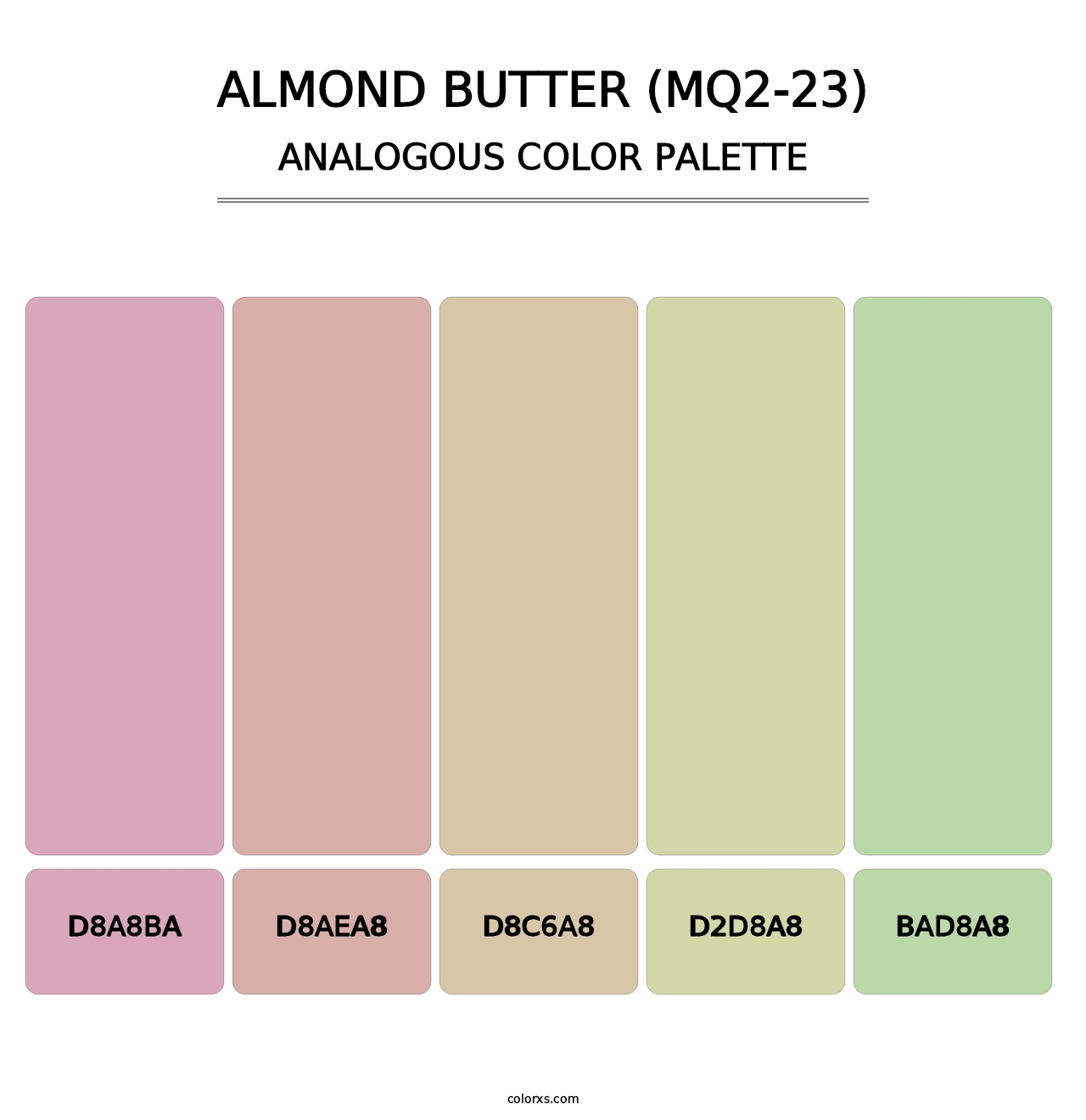 Almond Butter (MQ2-23) - Analogous Color Palette