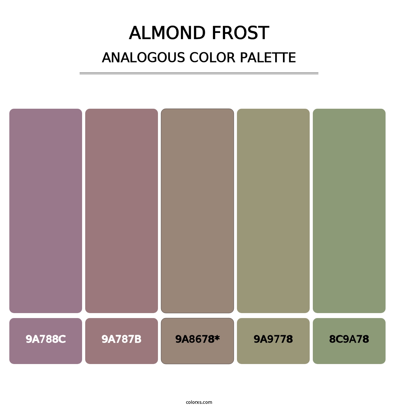 Almond Frost - Analogous Color Palette