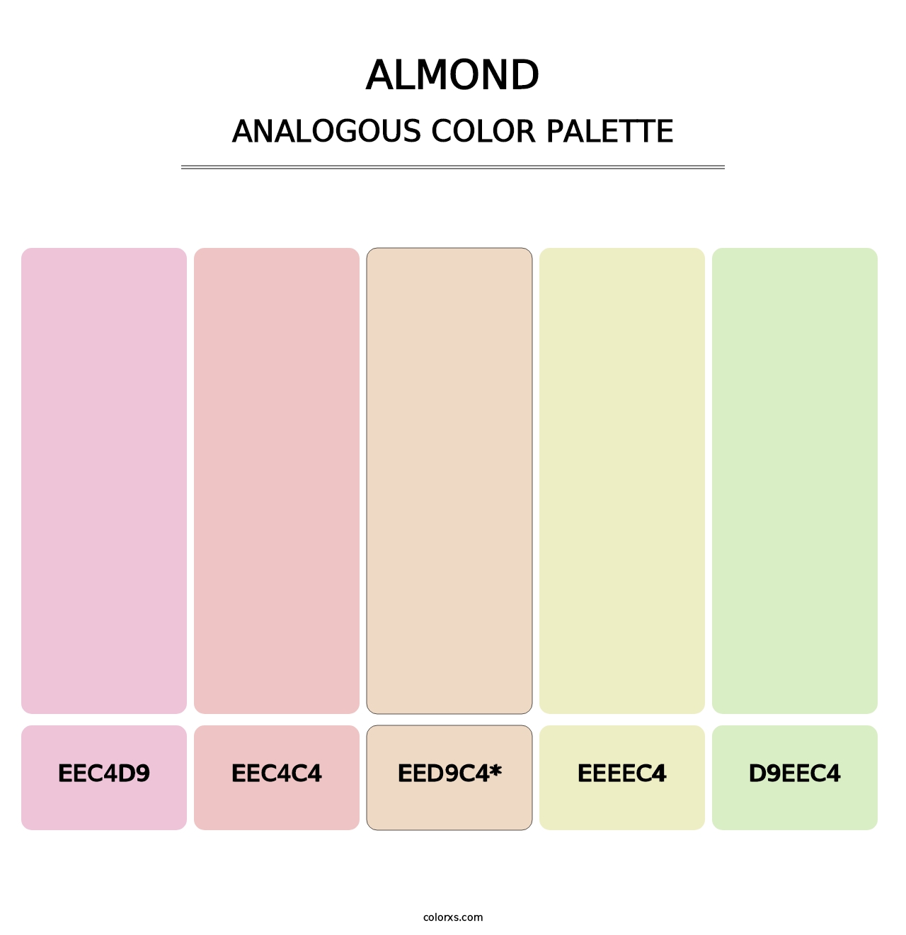 Almond - Analogous Color Palette