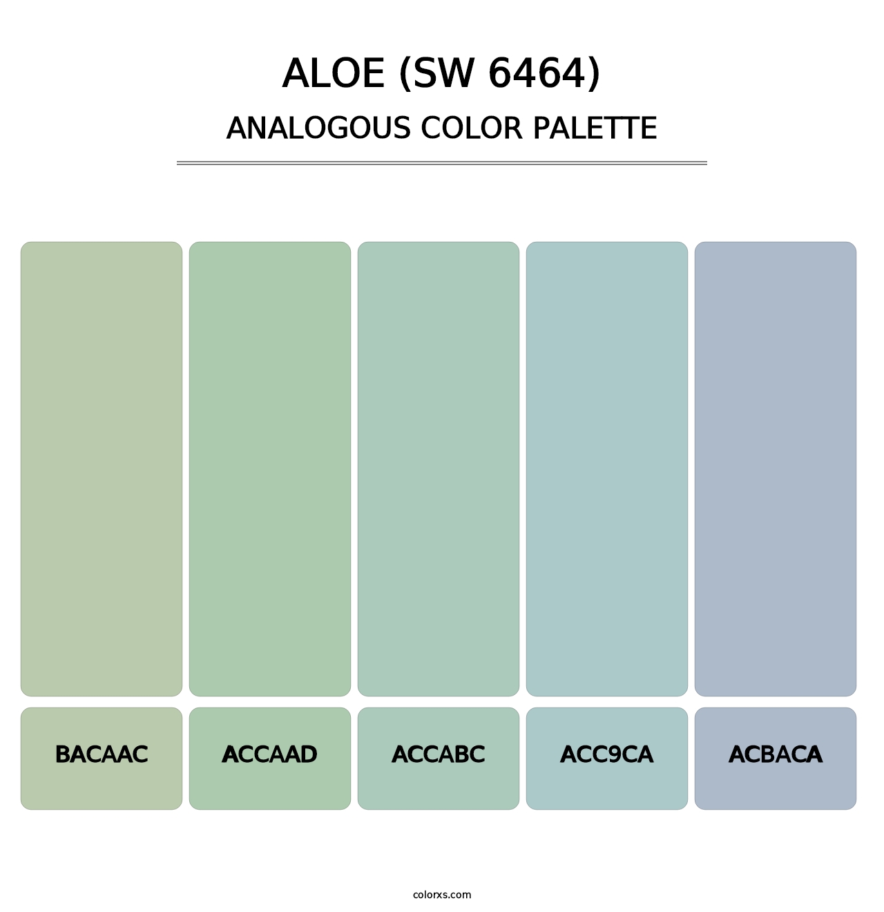 Aloe (SW 6464) - Analogous Color Palette