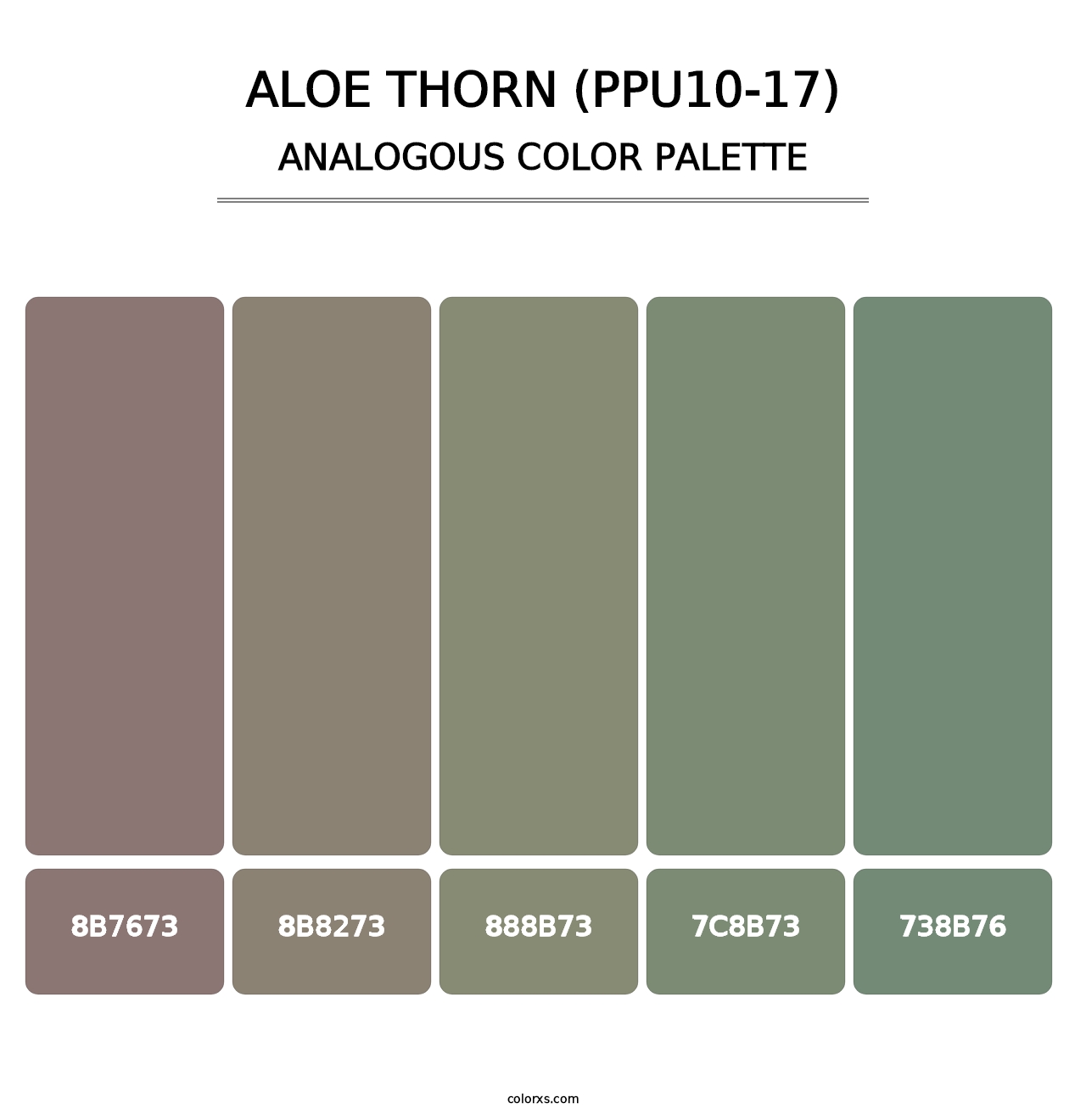 Aloe Thorn (PPU10-17) - Analogous Color Palette