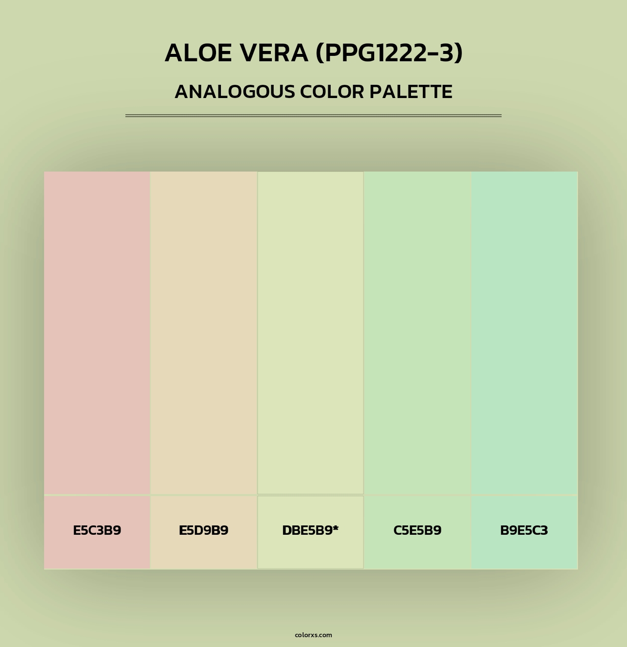 Aloe Vera (PPG1222-3) - Analogous Color Palette