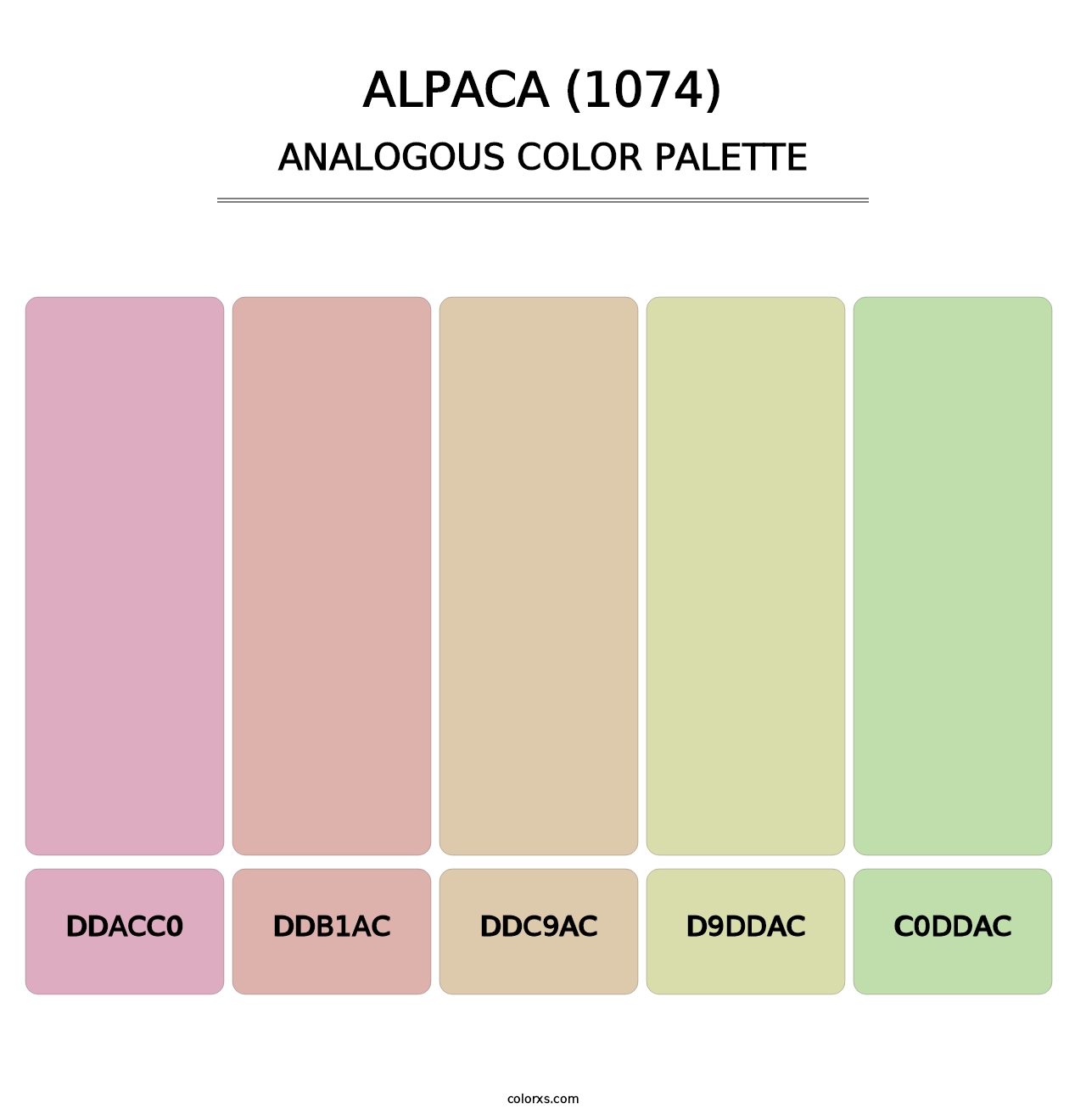 Alpaca (1074) - Analogous Color Palette