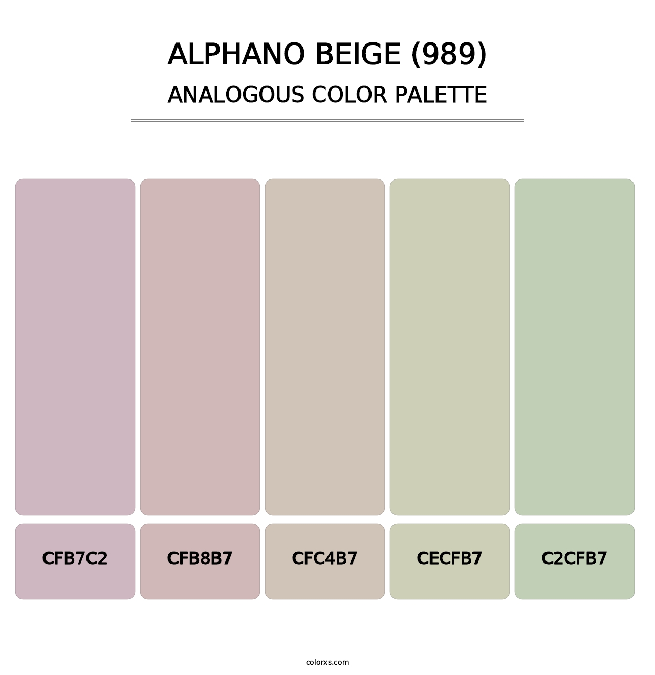 Alphano Beige (989) - Analogous Color Palette