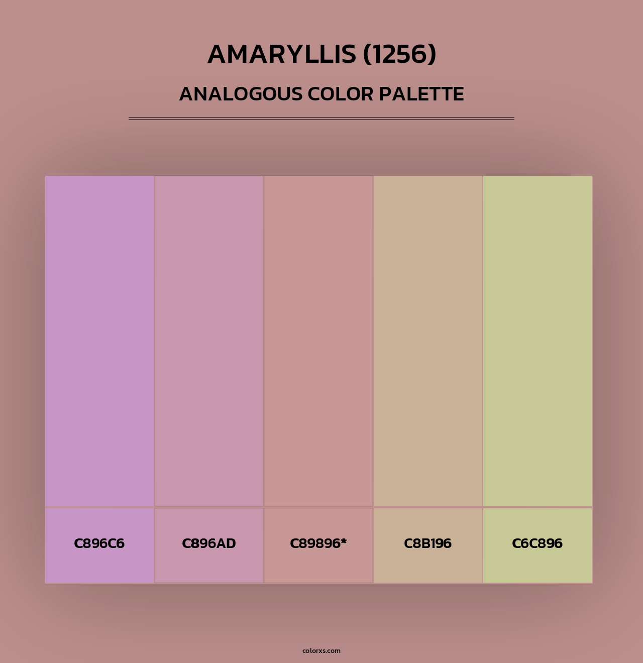 Amaryllis (1256) - Analogous Color Palette