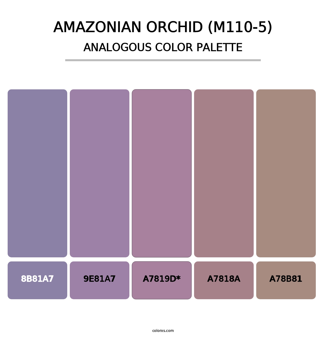 Amazonian Orchid (M110-5) - Analogous Color Palette